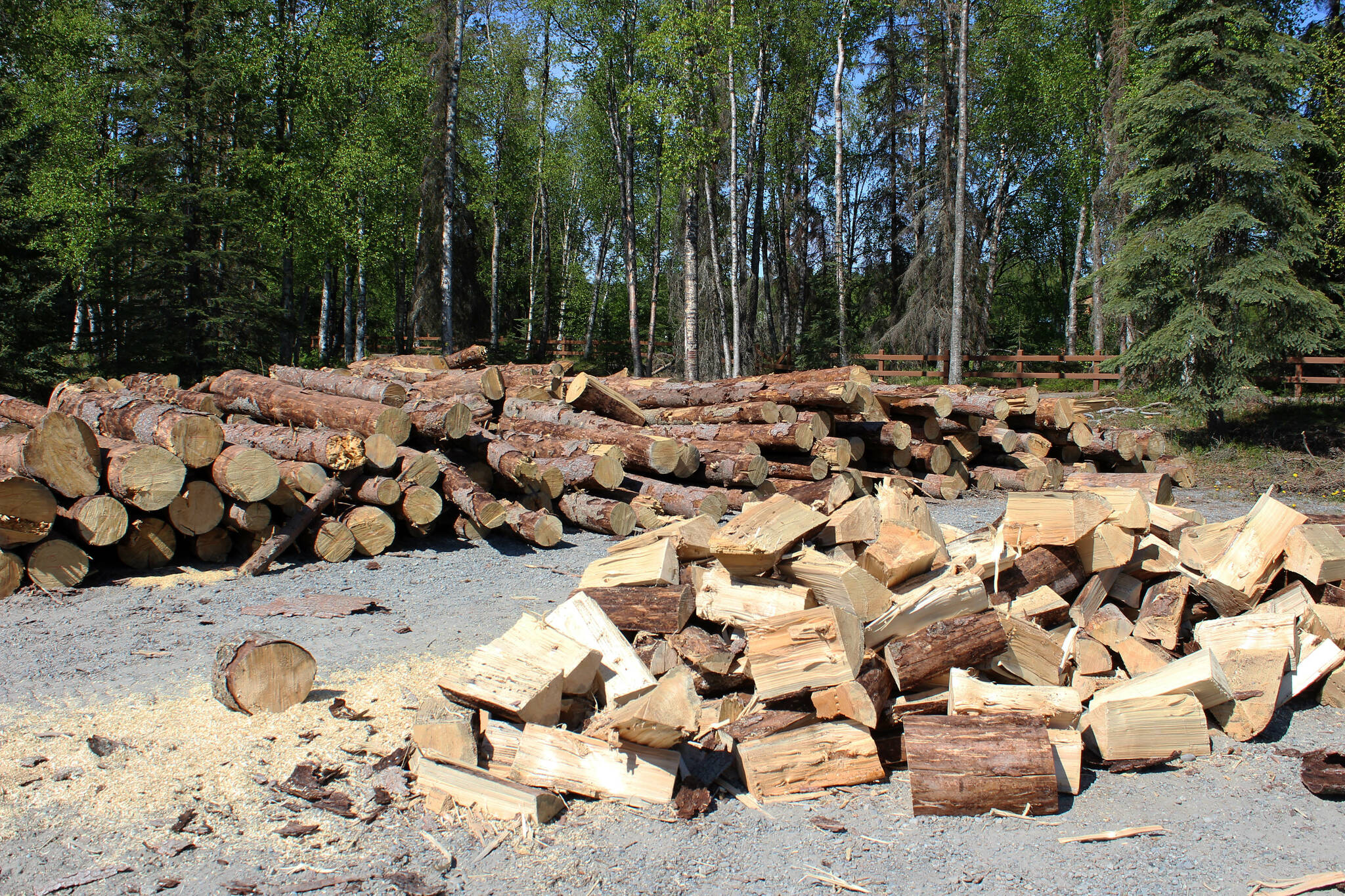 Wood is piled near the entrance to Centennial Park on Thursday, May 26, 2022, in Soldotna, Alaska. The campground was closed for most of May while the city worked with contractors to remove trees infested with spruce bark beetles from the property. Southcentral Alaska’s current spruce beetle outbreak has already affected 1.6 million acres of land, including 21,000 acres managed by the Kenai Peninsula Borough. (Ashlyn O’Hara/Peninsula Clarion)