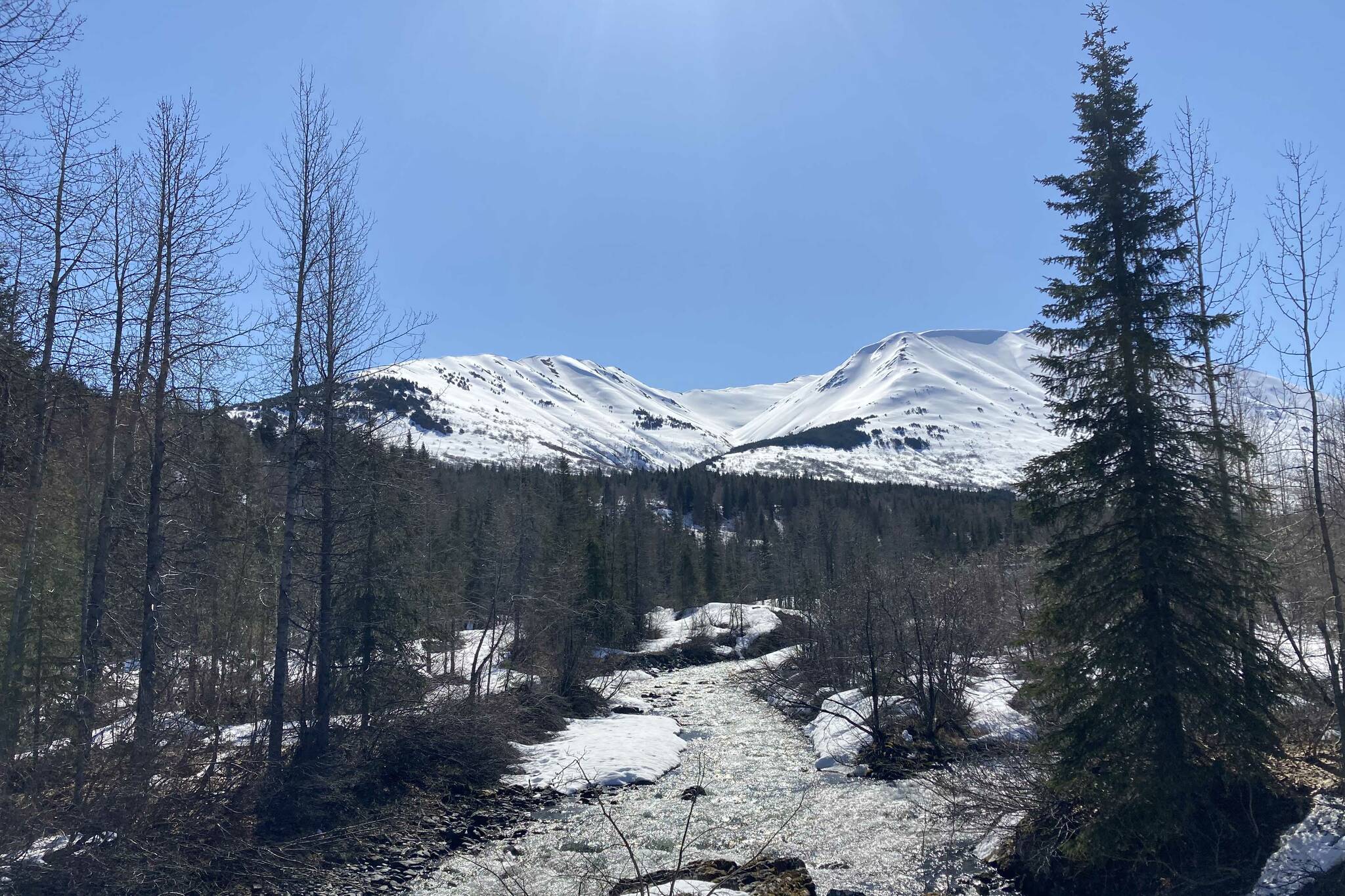 Mills Creek, May 11, 2022. (Photo by Jeff Helminiak/Peninsula Clarion)