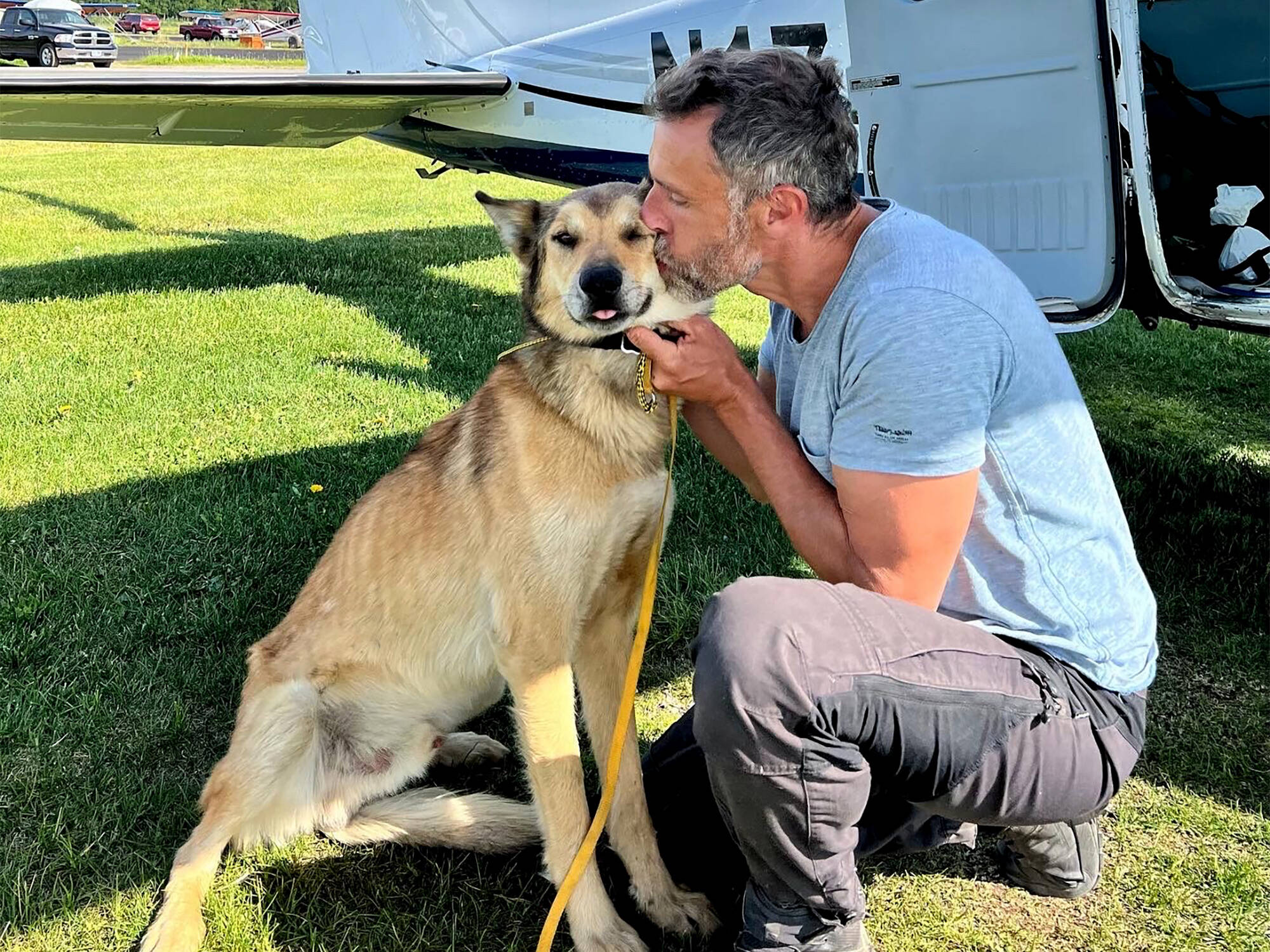 In this photo provided by Regal Air, musher Sebastien Dos Santos Borges, of France, and sled dog Leon arrive in Anchorage, Alaska, Saturday, June 4, 2022, after being reunited. The Iditarod Trail Committee says Leon went missing in March during the nearly 1,000-mile race across Alaska before being found three months later after covering nearly 150 miles. Leon was expected to see a veterinarian in the coming days and needs a health certificate before he can fly back to France, Iditarod spokesperson Shannon Markley said. (Rebecca Clark/Regal Air via AP)