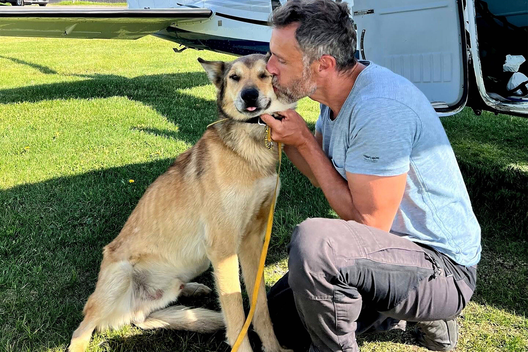 In this photo provided by Regal Air, musher Sebastien Dos Santos Borges, of France, and sled dog Leon arrive in Anchorage, Alaska, Saturday, June 4, 2022, after being reunited. The Iditarod Trail Committee says Leon went missing in March during the nearly 1,000-mile race across Alaska before being found three months later after covering nearly 150 miles. Leon was expected to see a veterinarian in the coming days and needs a health certificate before he can fly back to France, Iditarod spokesperson Shannon Markley said. (Rebecca Clark/Regal Air via AP)