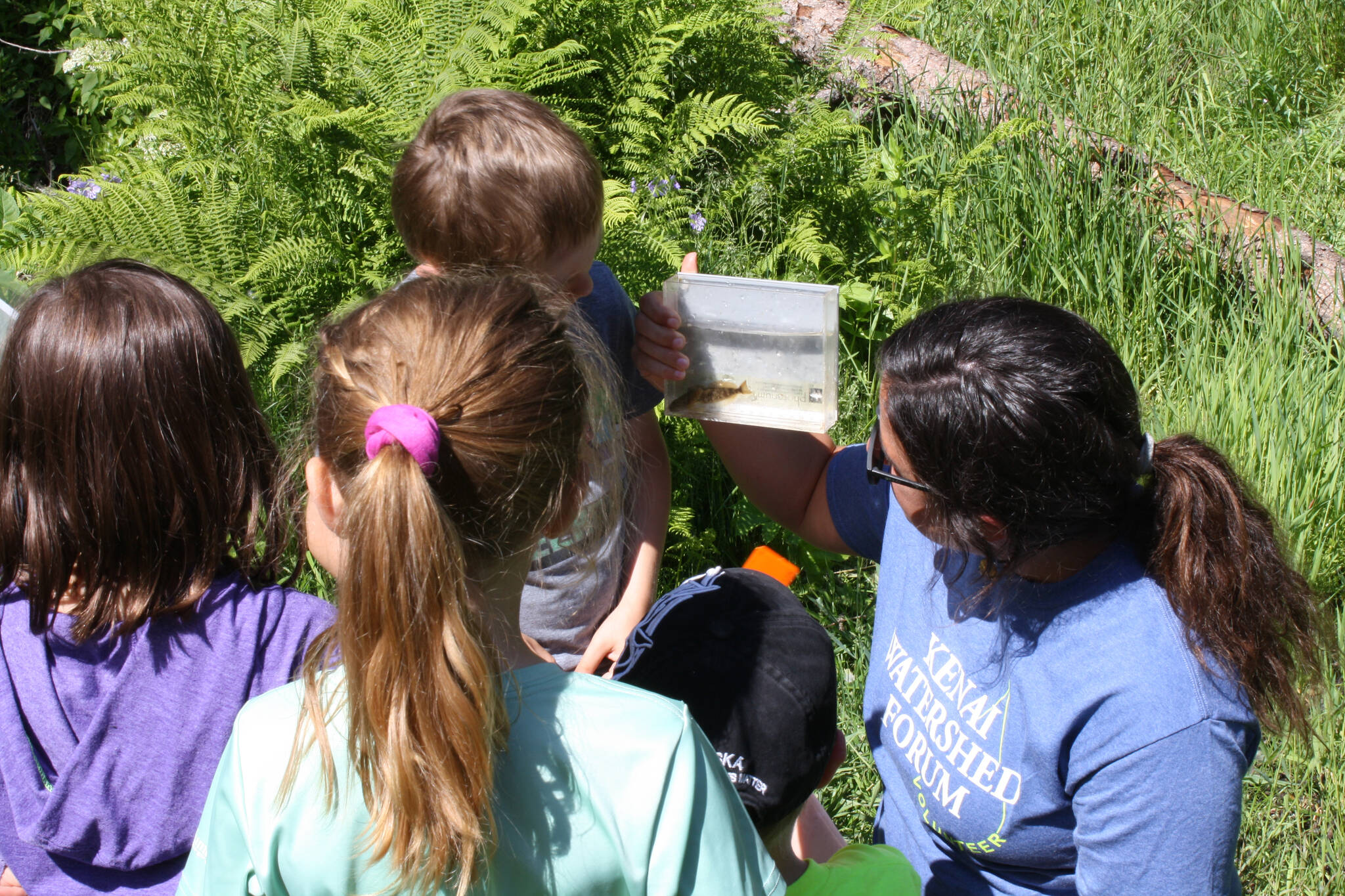 Education Specialist Megan Pike leads the fish observation activity during the Novice Naturalist Camp at the Kenai Watershed Forum in Soldotna, Alaska, on Tuesday, June 21, 2022. (Camille Botello/Peninsula Clarion)