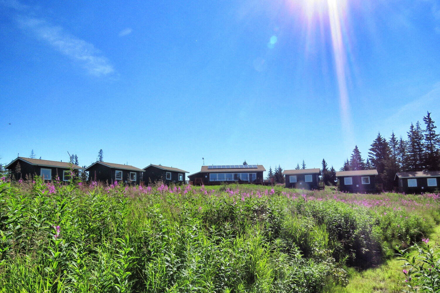 The Storyknife Writers Retreat in the summer of 2021 in Homer, Alaska. (Photo provided)