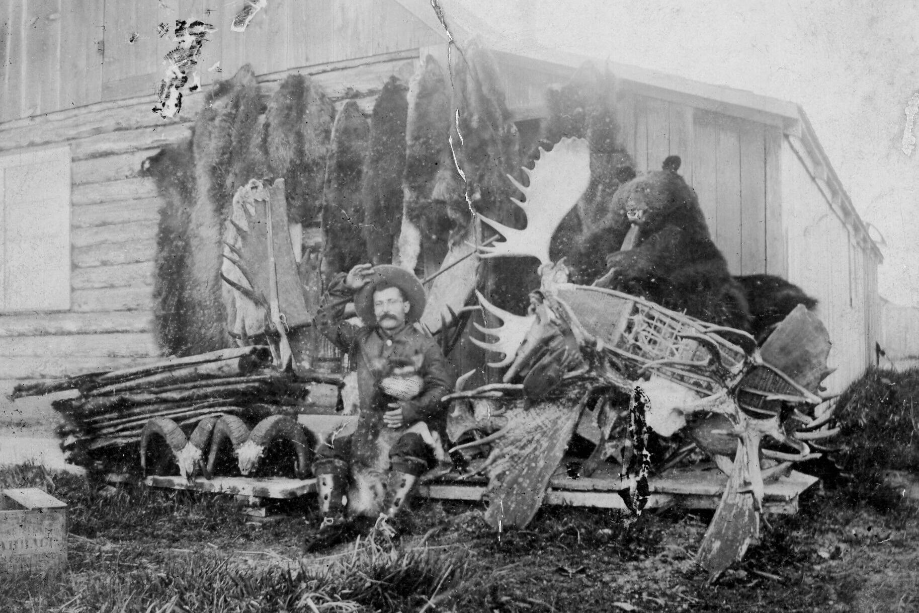 Frenchy posed with this heap of hunting and trapping trophies in Kenai in 1899. (Photo courtesy of the Viani Family Collection)