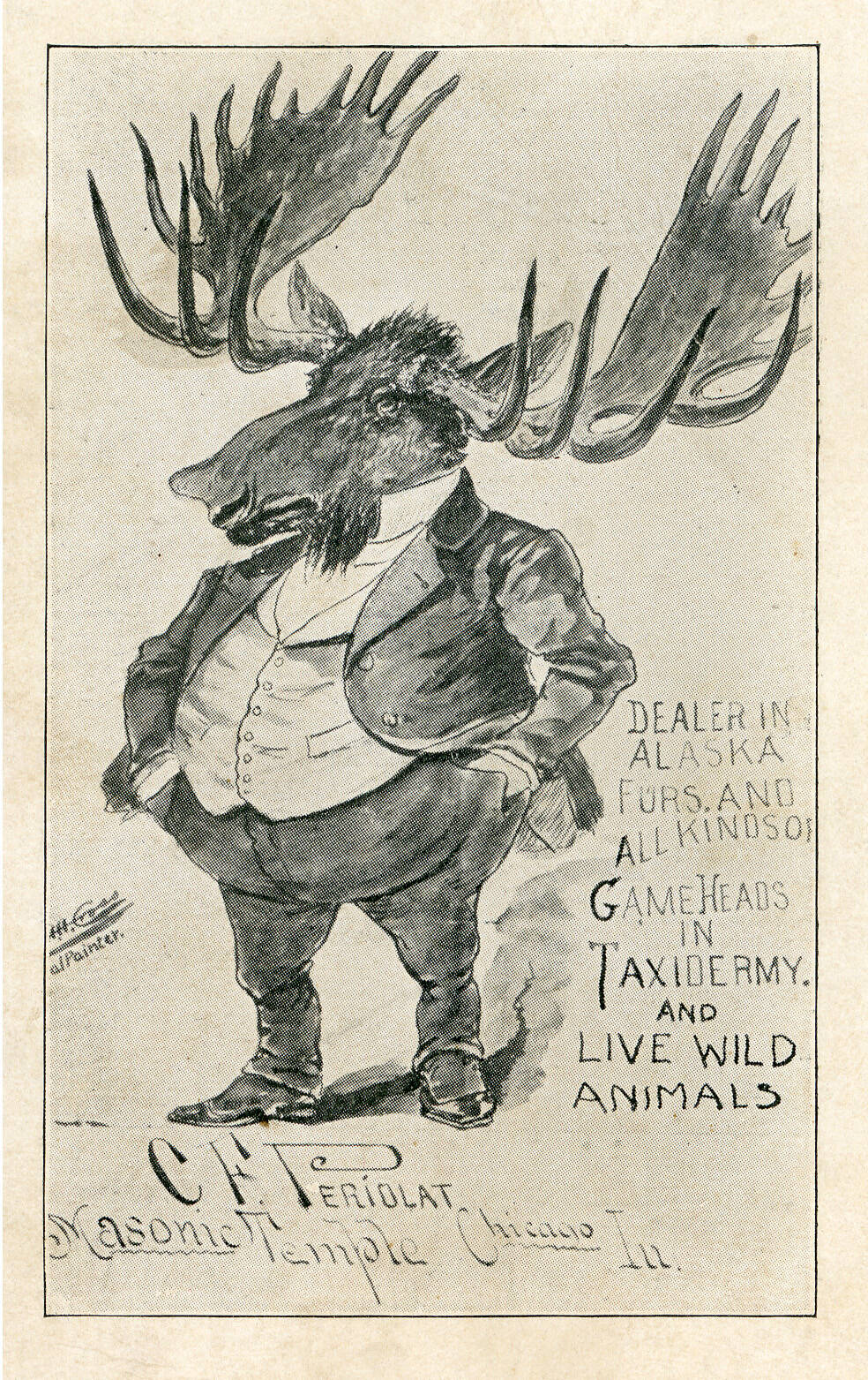 Image courtesy of the Viani Family Collection 
This is a caricature of prominent Chicago fur dealer Clemens F. Periolat, who met P.F. “Frenchy” Vian in about 1901.