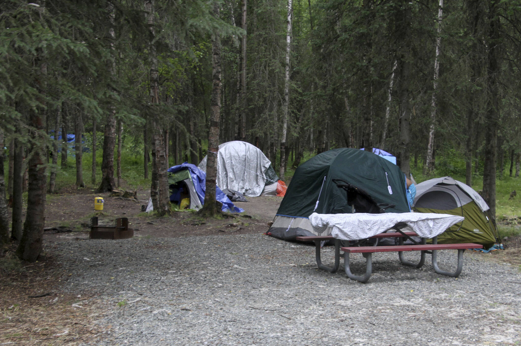 Tents are shown Wednesday, July 6, 2022, inside Centennial Park in Anchorage, Alaska. State wildlife officials have killed four black bears in a campground recently set aside for the city’s homeless population after Anchorage’s largest shelter was closed. (AP Photo/Mark Thiessen)