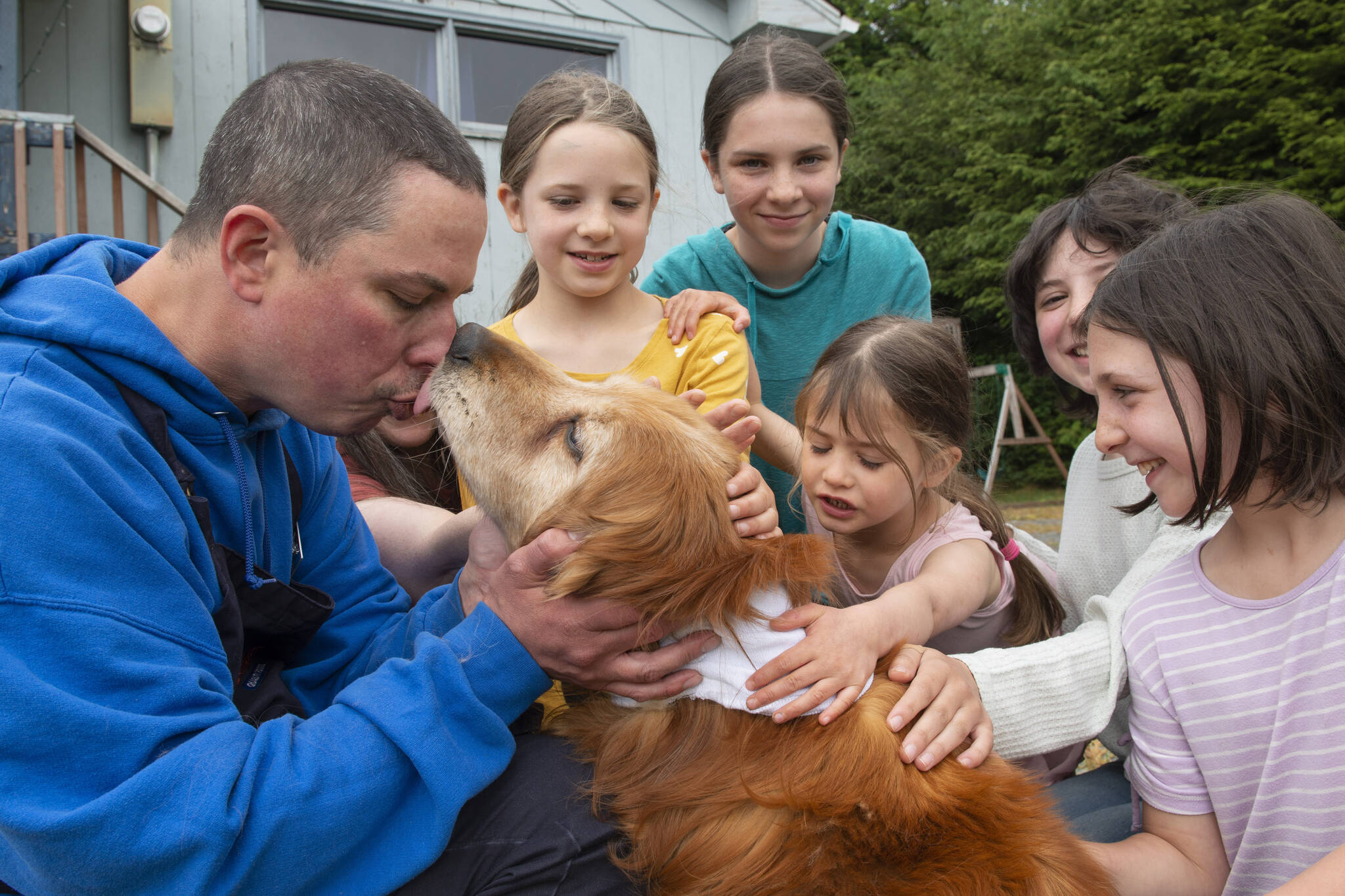 Ted Kubacki gets a lick from the family golden retriever, Lulu, outside their house after being reunited in Sitka, Alaska, on Thursday, July 7, 2022. The elderly, blind dog who had been missing three weeks, was found Tuesday, July 5, 2022, by a construction crew in salmonberry bushes after initially confusing her for a bear. Behind Ted is his wife, Rebecca, and their children Ella, Viola, Star, Lazaria and Olive. (James Poulson/The Daily Sitka Sentinel via AP)