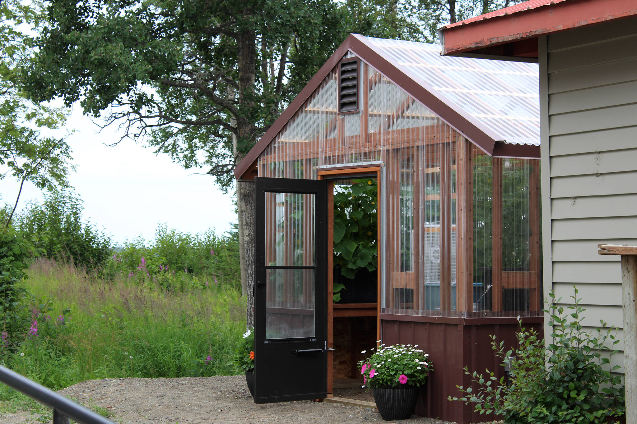 The door to a greenhouse dedicated to Bill Osborn stands open on Tuesday, July 12, 2022 in Kenai, Alaska. (Ashlyn O’Hara/Peninsula Clarion)