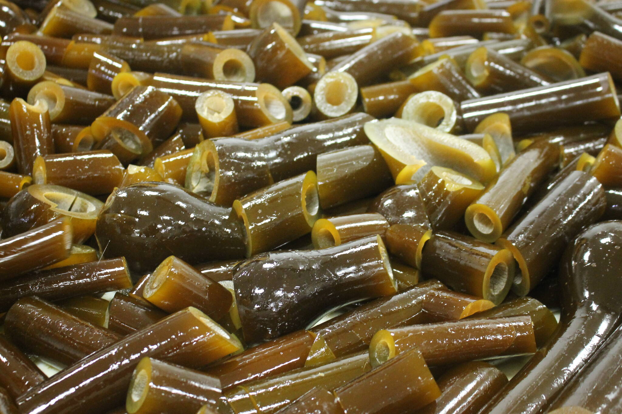 Clarise Larson / Juneau Empire
A bin of bull kelp sits beside the conveyer belt at Barnacle Foods.