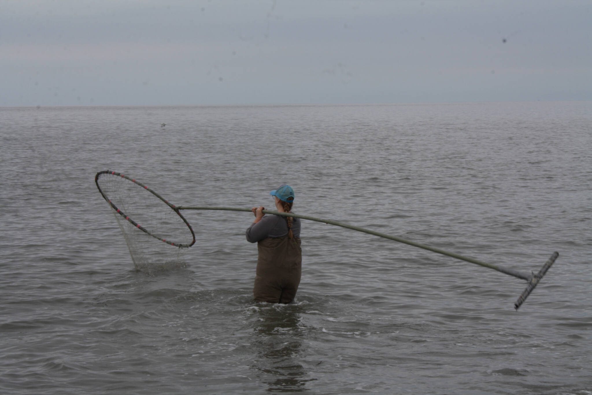 Kenai River personal use dipnet fishery to open 24 hours per day