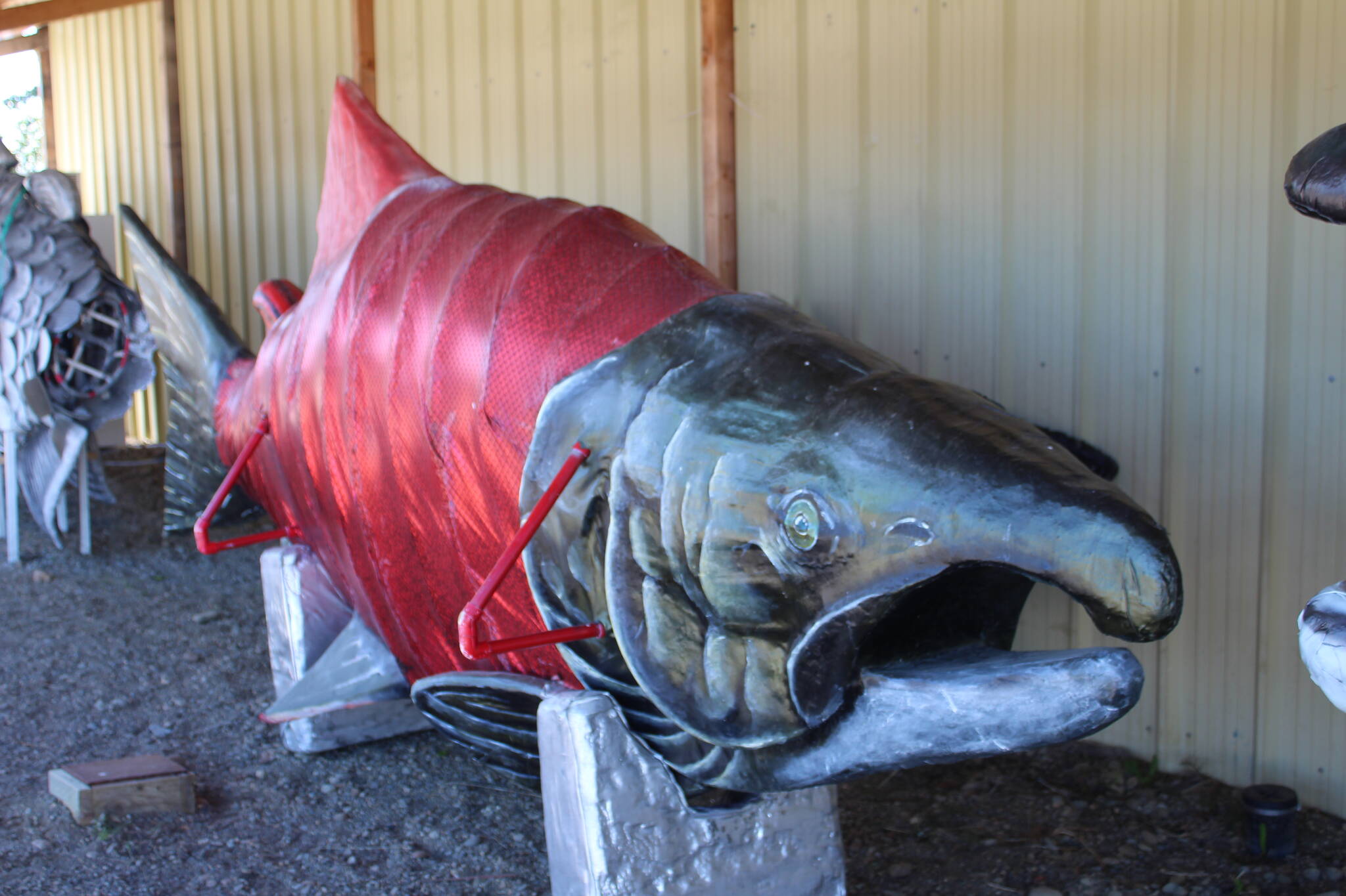A salmon art installation waits to be hoisted in Ninilchik, Alaska, on Friday, Aug. 5, 2022 for Salmonfest, an annual event that raises awareness about salmon-related causes. (Ashlyn O’Hara/Peninsula Clarion)
