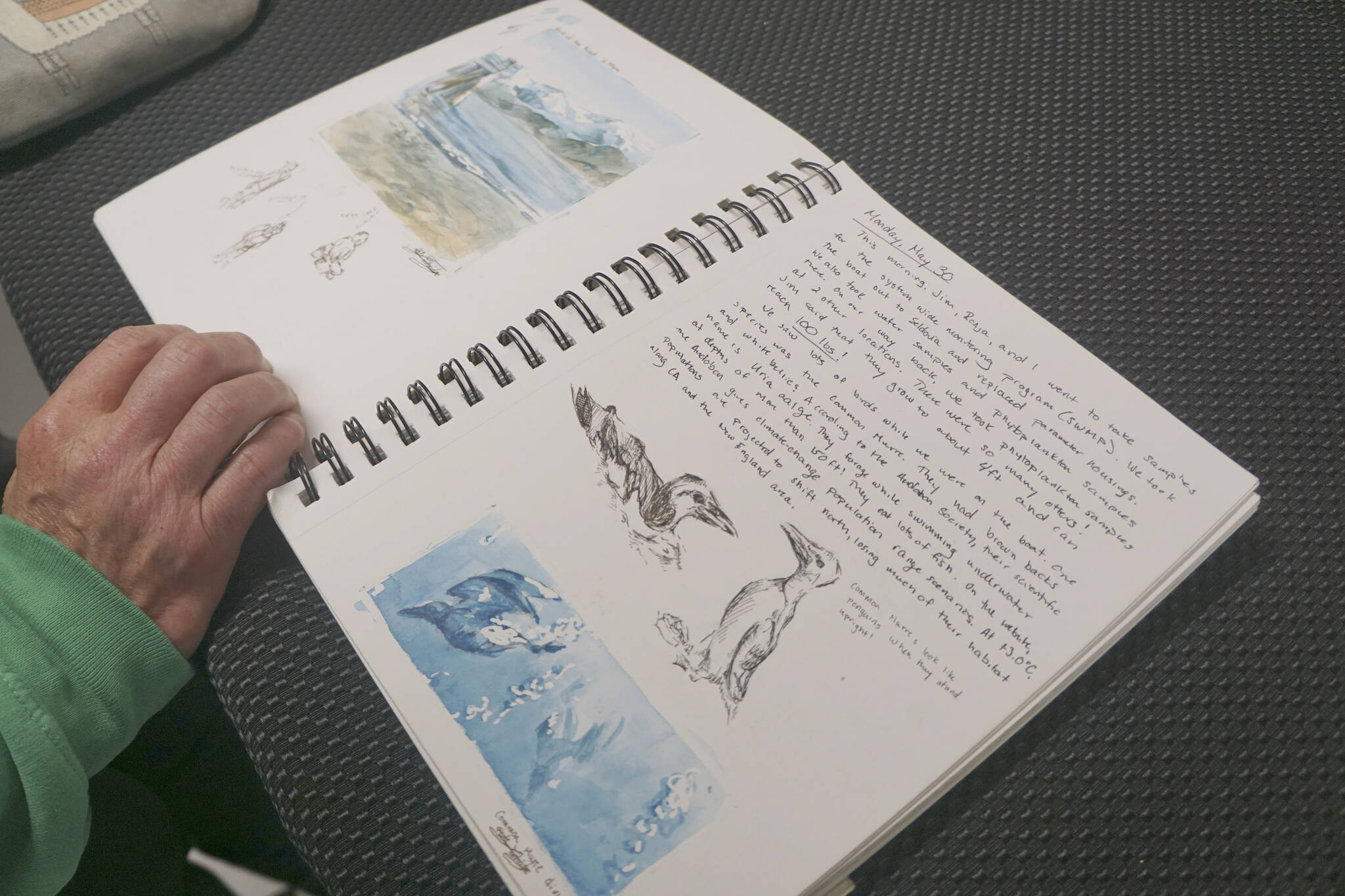 Ingrid Harrald looks at Kate Lochridge's sketch book at a pop-up viewing of her show on Friday, Aug. 5, 2022, at the Homer Council of the Arts in Homer, Alaska. (Photo by Michael Armstrong/Homer News)