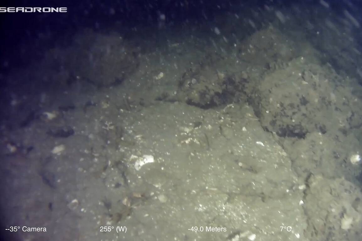 Seadrone photo showing stone fish trap found in Shakan Bay on the west side of Prince of Wales could potentially be oldest ever found in the world. The structure was first discovered in 2010 and officially confirmed as a stone weir earlier this year. (Courtesy Photo / Sealaska Heritage)