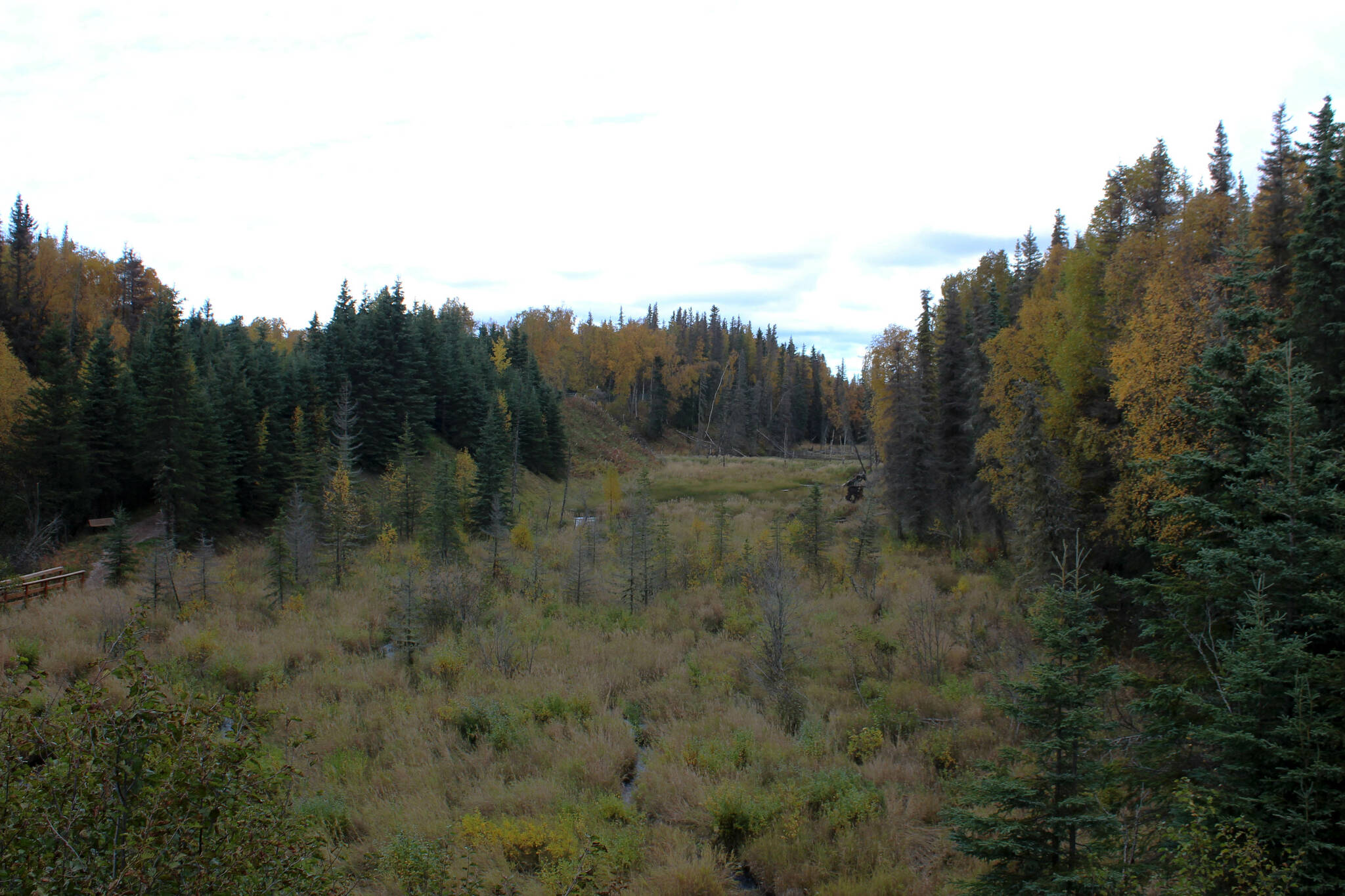 Trees with fall colors populate the Shqui Tsatnu Creek gully as seen from Fourth Avenue on Friday, Sept. 23, 2022, in Kenai, Alaska. (Ashlyn O’Hara/Peninsula Clarion)