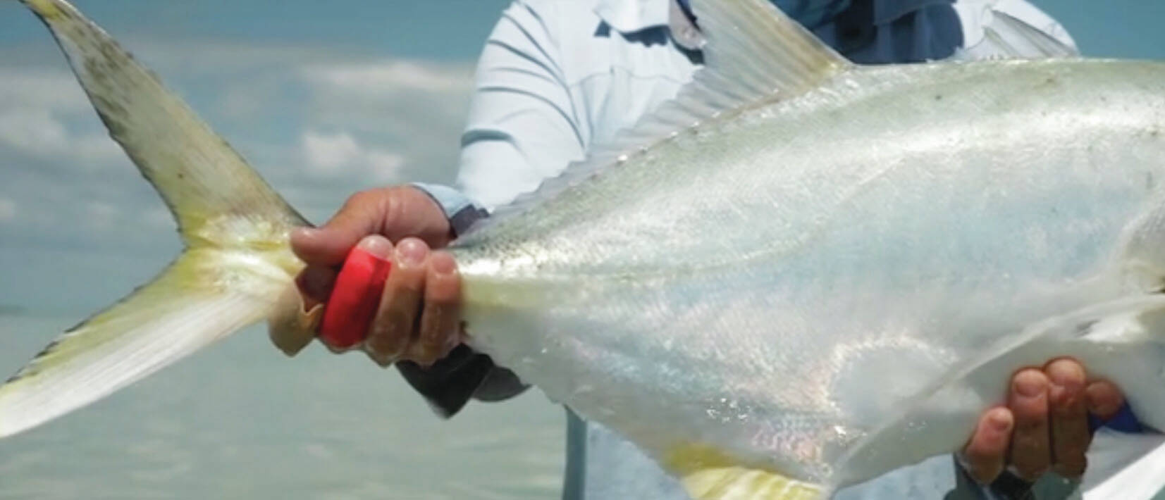 IF4/flyfilmfest.com
A still from “Casting Maya,” a film about Ascension Bay on the Yucatan Peninsula in Mexico, is seen in this screenshot. From Pure Films, the short will be one of nine shown at the International Fly Fishing Film Festival on Aug. 10 in Kenai.