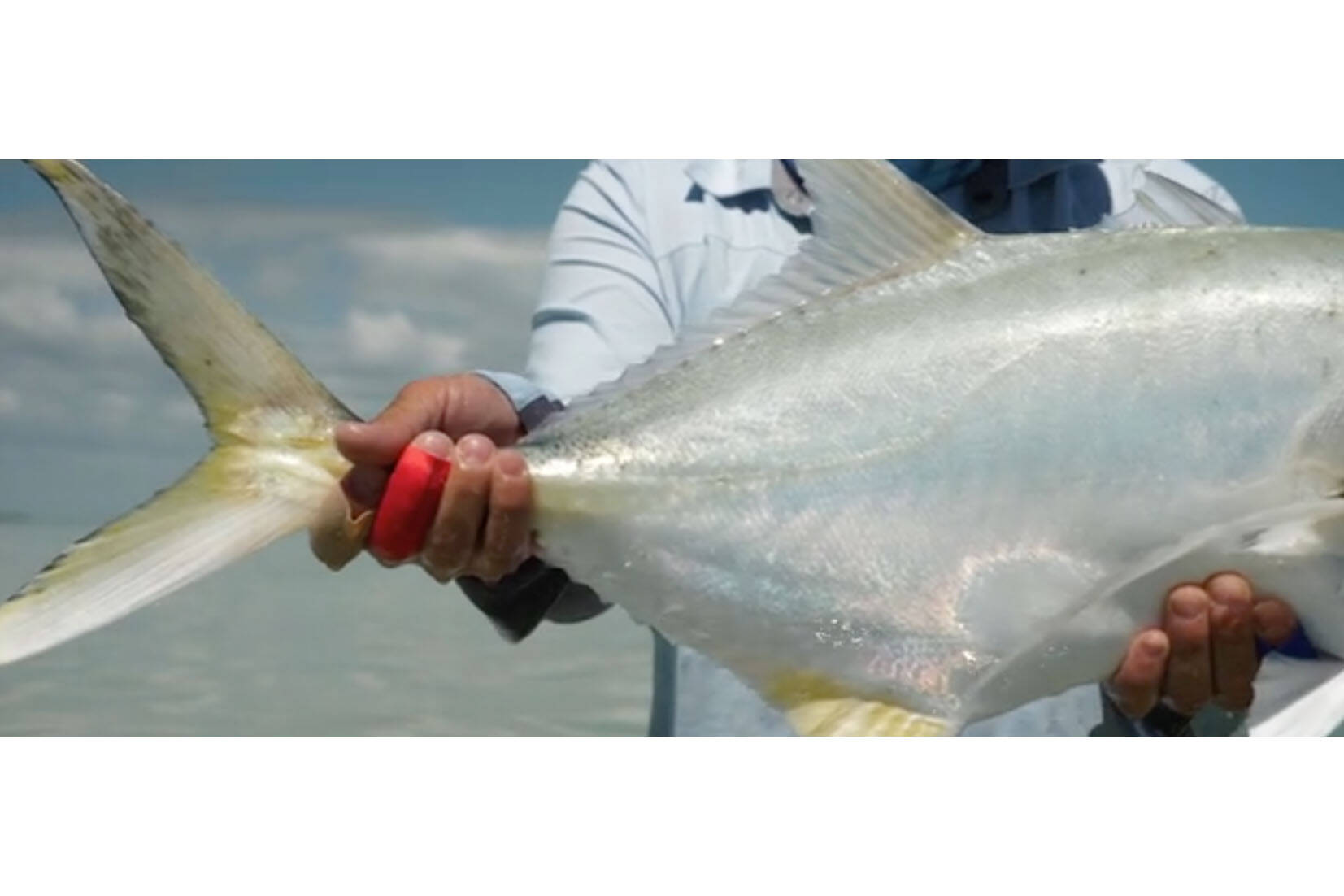 A still from “Casting Maya,” a film about Ascension Bay on the Yucatan Peninsula in Mexico is seen in this screenshot. From Pure Films, the short will be one of nine shown at the International Fly Fishing Film Festival on Aug. 10 in Kenai, Alaska. (IF4/flyfilmfest.com)