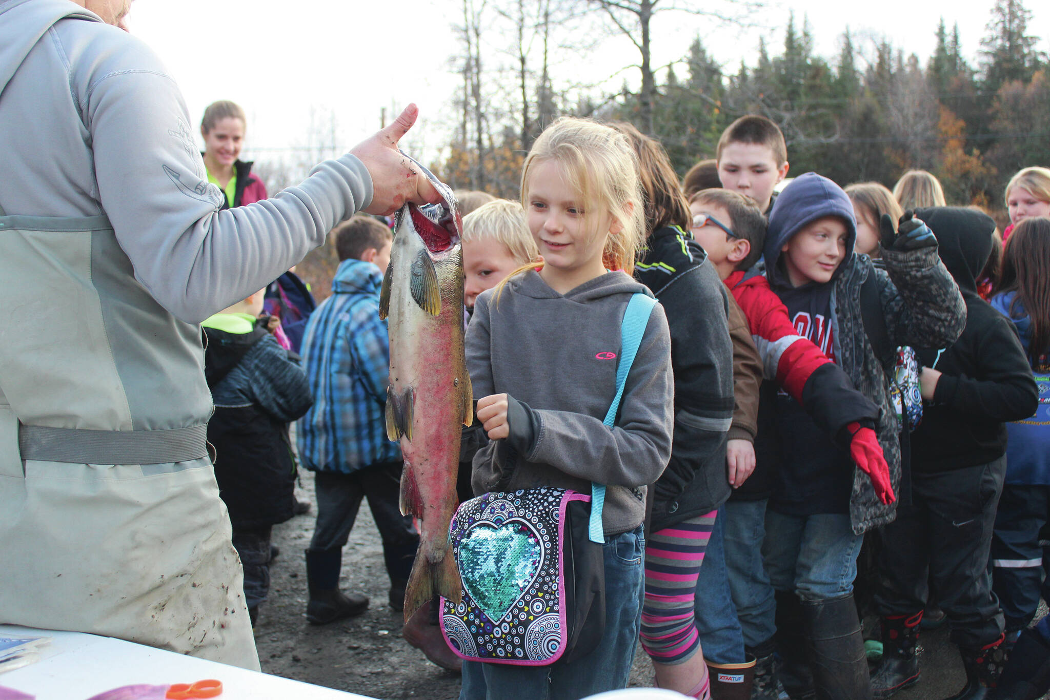 Elementary school students line up to touch a salmon during the annual egg take demonstration at the Anchor River on Thursday, Oct. 10, 2019, in Anchor Point, Alaska. Students leave the egg take event with fertilized salmon eggs to raise into fry throughout the year through the Salmon in the Classroom project hosted by the Alaska Department of Fish and Game, Sport Fish Division. (Photo by Megan Pacer/Homer News file)