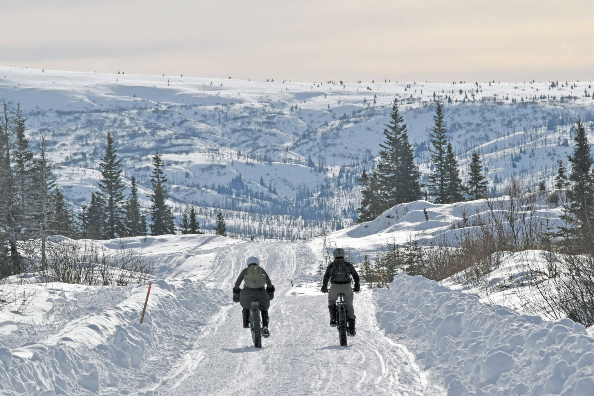 Martha Story and David Story cruise down a hill in the Fat Freddie’s Bike Race and Ramble on Saturday, Feb. 9, 2019, in the Caribou Hills near Freddie’s Roadhouse. (Photo by Jeff Helminiak/Peninsula Clarion)