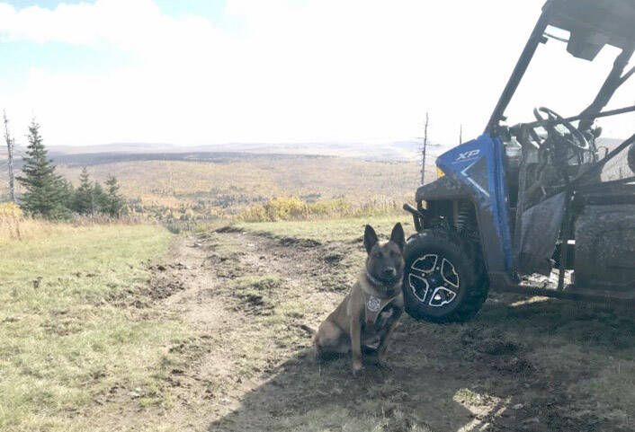 FWC Togo on UTV Patrol in the Caribou Hills. (Photo by Pete Harvey/FWS)