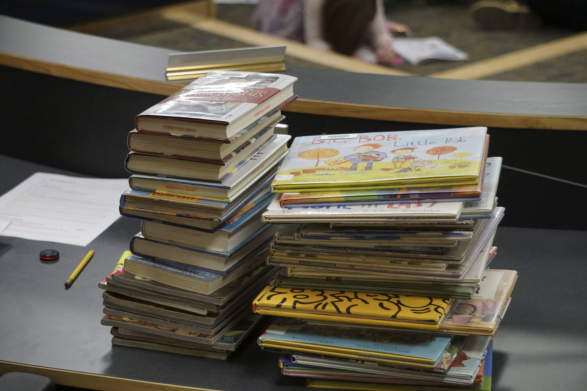 Some of the Homer Public Library books a citizens group has asked be removed from the children’s section lie on a table at the meeting of the Library Advisory Board on Nov. 15, 2022, in the Cowles Council Chambers at Homer City Hall in Homer, Alaska. (Photo by Michael Armstrong/Homer News)
