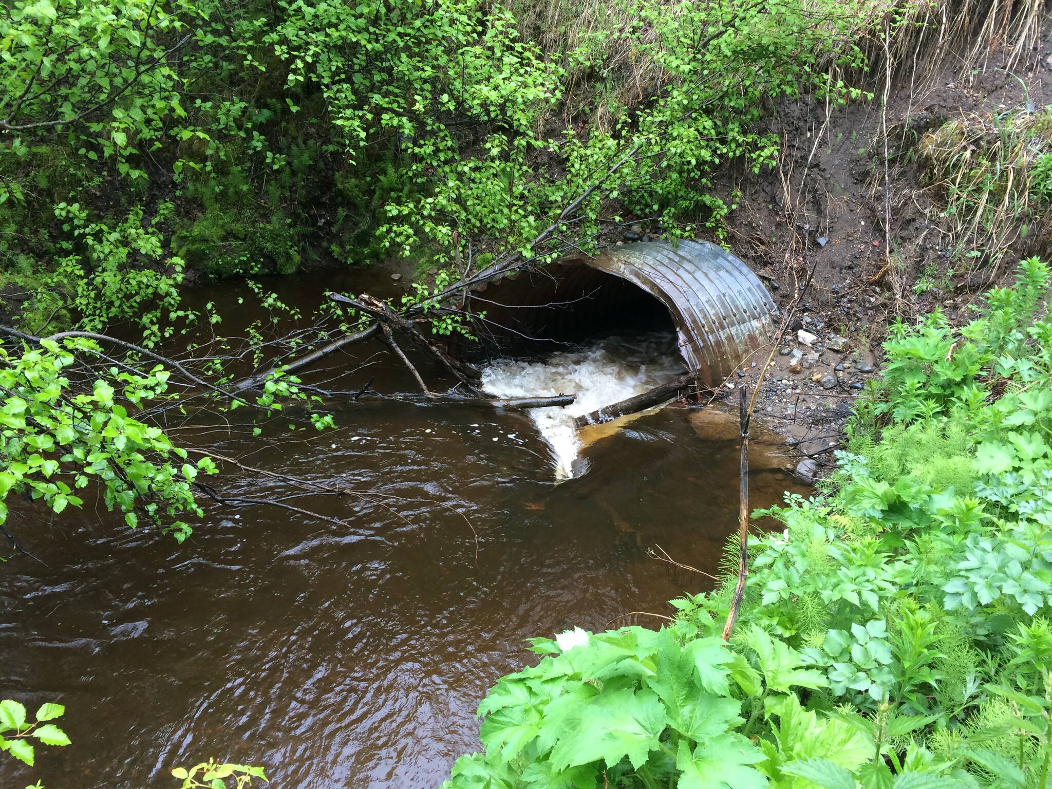 The culvert at Lower Tyonek Creek is obstructed by debris in this undated photo. (Photo courtesy Dr. Laurie Stuart)