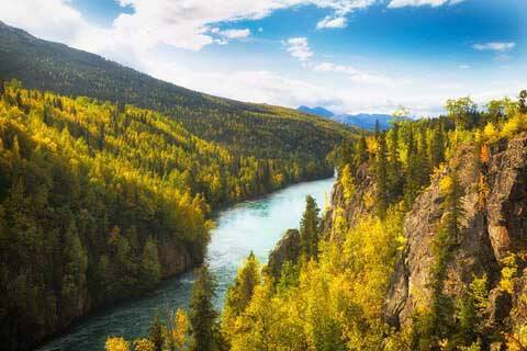 Forests surrounding the Kenai River. (Photo by Lisa Hupp/USFWS)