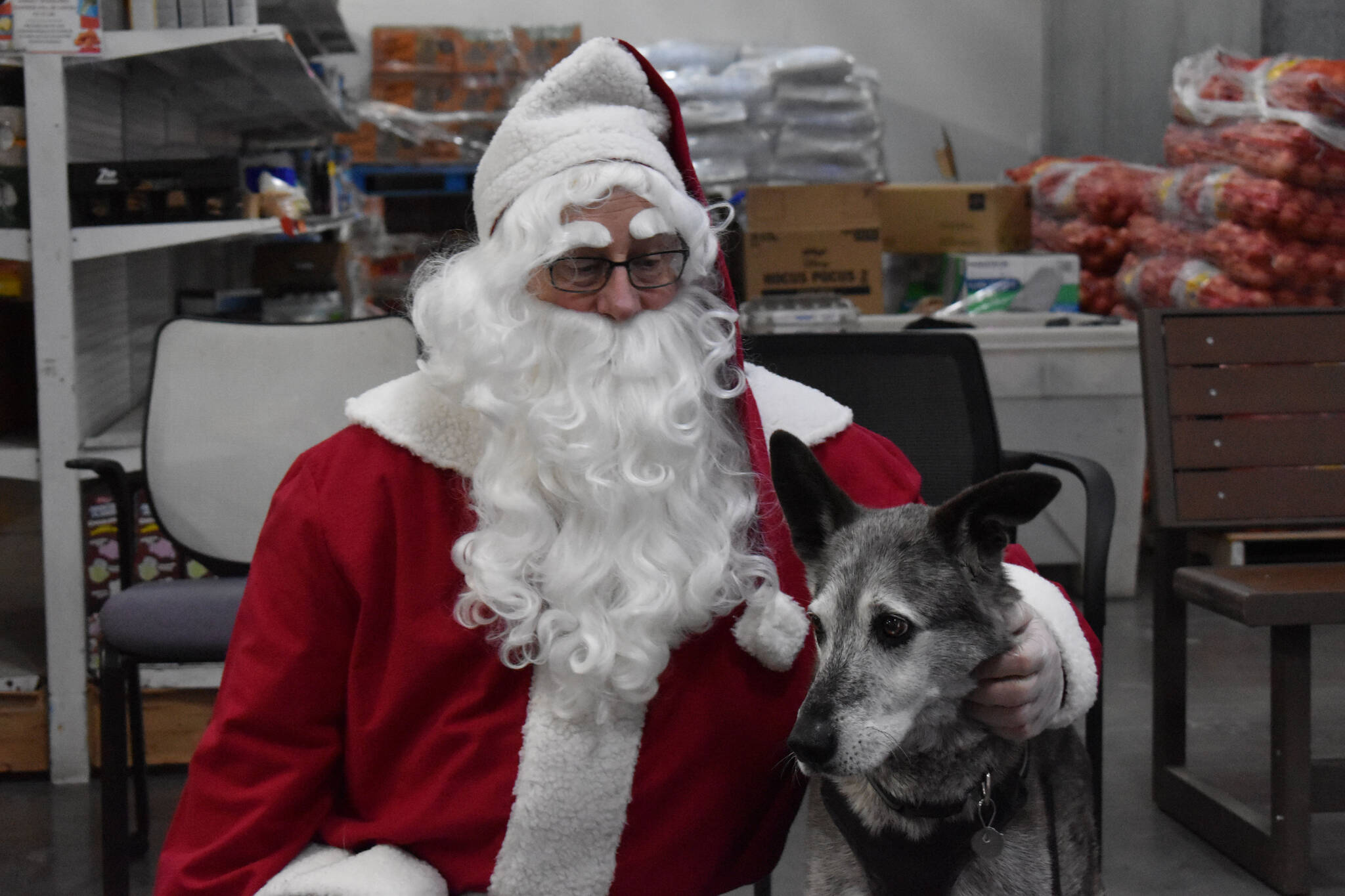 Blue sits for a photo with Santa during Bark, Block and Bowl on Saturday, Dec. 10, 2022, at the Kenai Peninsula Food Bank in Soldotna, Alaska. (Jake Dye/Peninsula Clarion)
