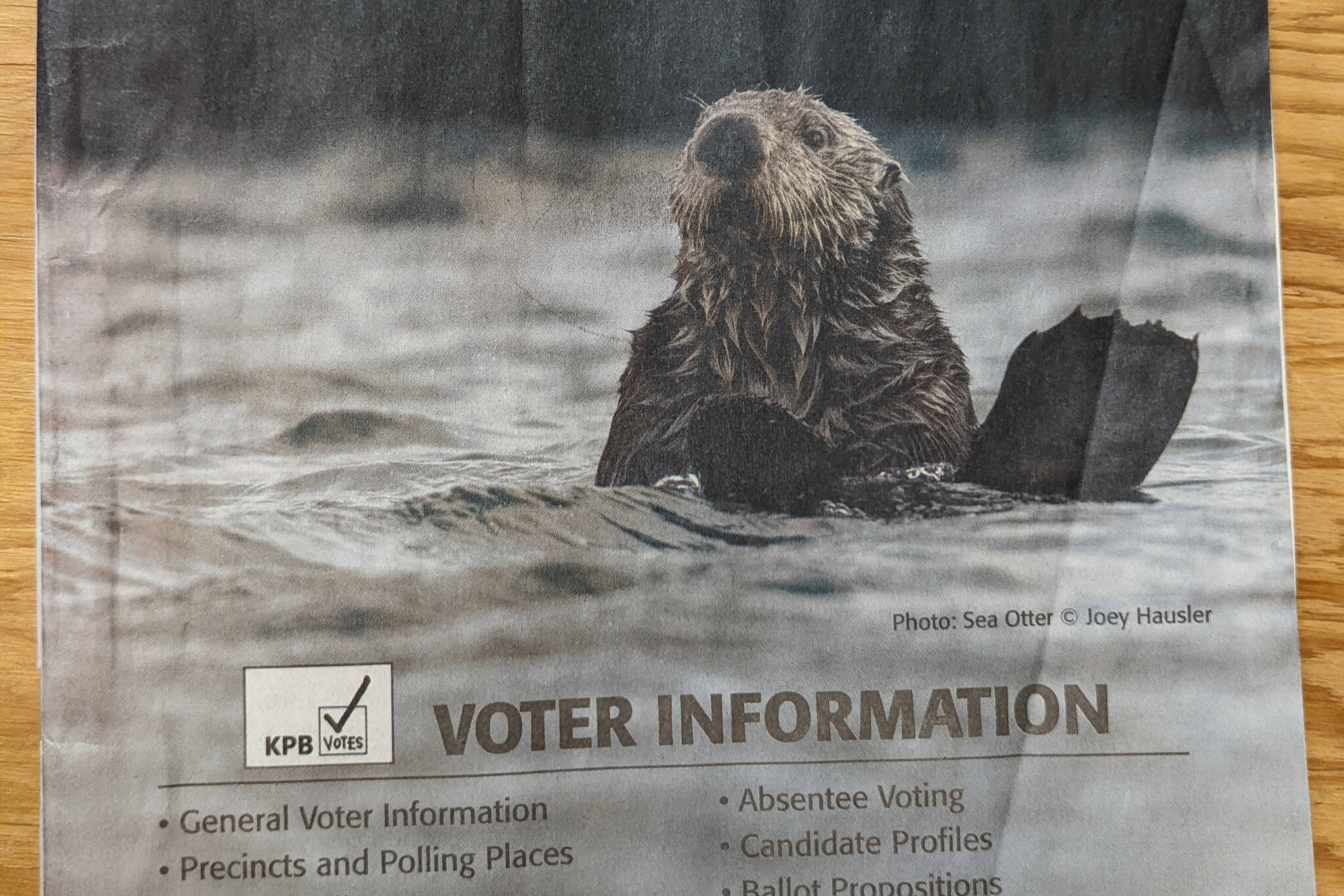 The Kenai Peninsula Borough Regular Municipal Election informational pamphlet for the Oct. 4, 2022, election is pictured. The Kenai Peninsula Borough Assembly is considering an ordinance that would end distribution of hard copies of the pamphlet to borough box holders. (Peninsula Clarion file)