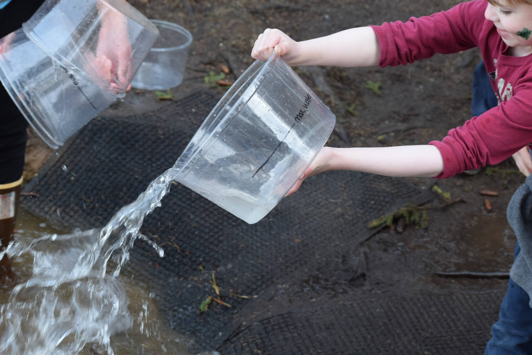 A rainbow trout is released in a restocking event at the 21st annual Kenai Peninsula Salmon Celebration in Kasilof on Wednesday, May 11, 2022. (Camille Botello/Peninsula Clarion)