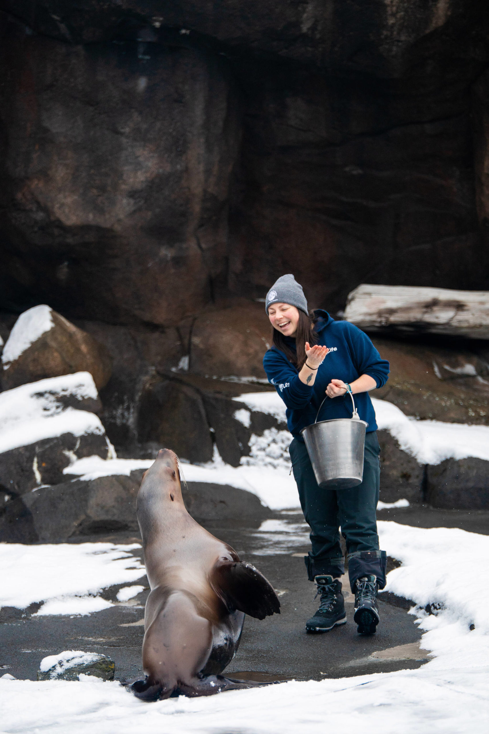 Alaska SeaLife Center Mammalogist Shelby Burman participates in a training session with Mist the Steller sea lion at the Alaska SeaLife Center on Jan. 19, 2023. Mist passed away unexpectedly on Jan. 23 after ASLC animal care staff observed seizure-like tremors. (Photo courtesy Kaiti Grant/Alaska SeaLife Center)