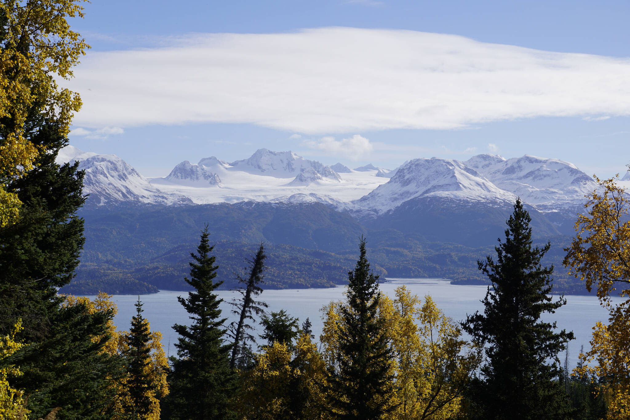 Golden-yellow birch trees and spruce frame a view of Aurora Lagoon and Portlock Glacier from a trail in the Cottonwood-Eastland Unit of Kachemak Bay State Park off East End Road on Sunday, Oct. 3, 2021, near Homer, Alaska. (Photo by Michael Armstrong)