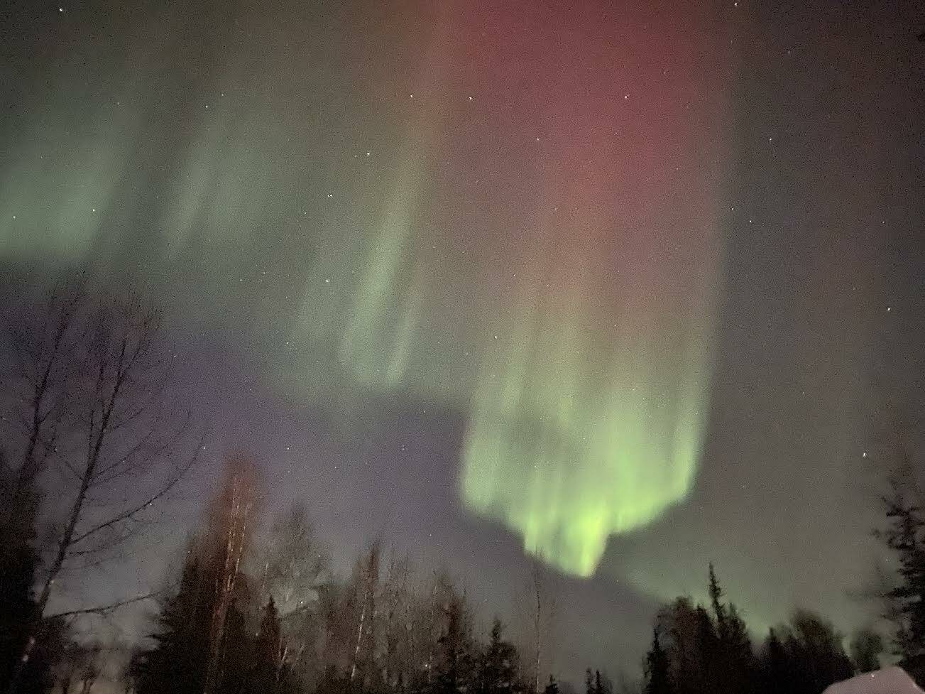 Aurora borealis near Funny River on Sunday, Feb. 26, 2023 in Soldotna, Alaska. (Photo courtesy Julie Craig)