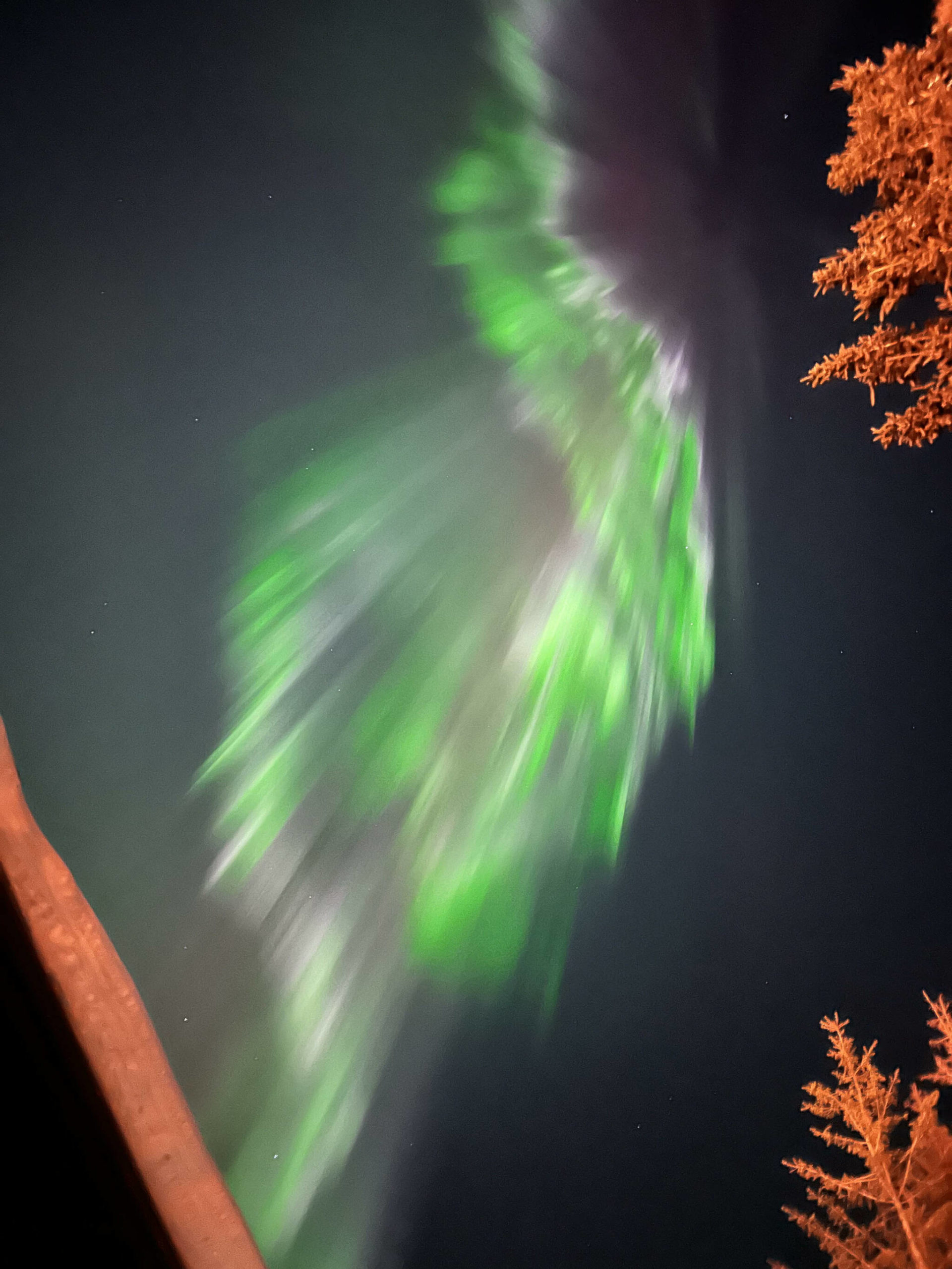 The aurora borealis as seen on Sunday, Feb. 26, 2023 in Kenai, Alaska. (Photo courtesy Rachel Karr)