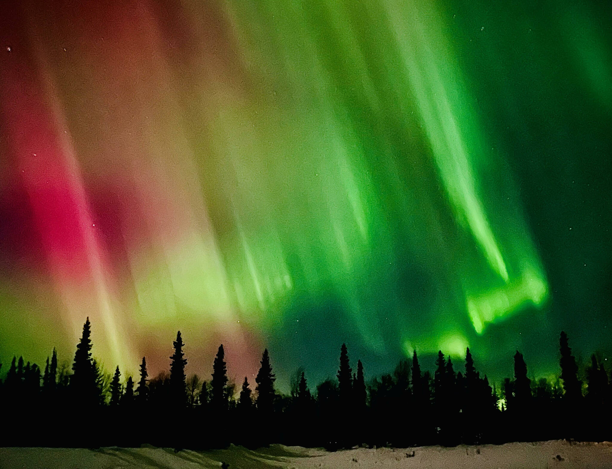 Aurora borealis dance on Sunday, Feb. 26, 2023, in Kasilof, Alaska. (Photo courtesy Mechel Meek)