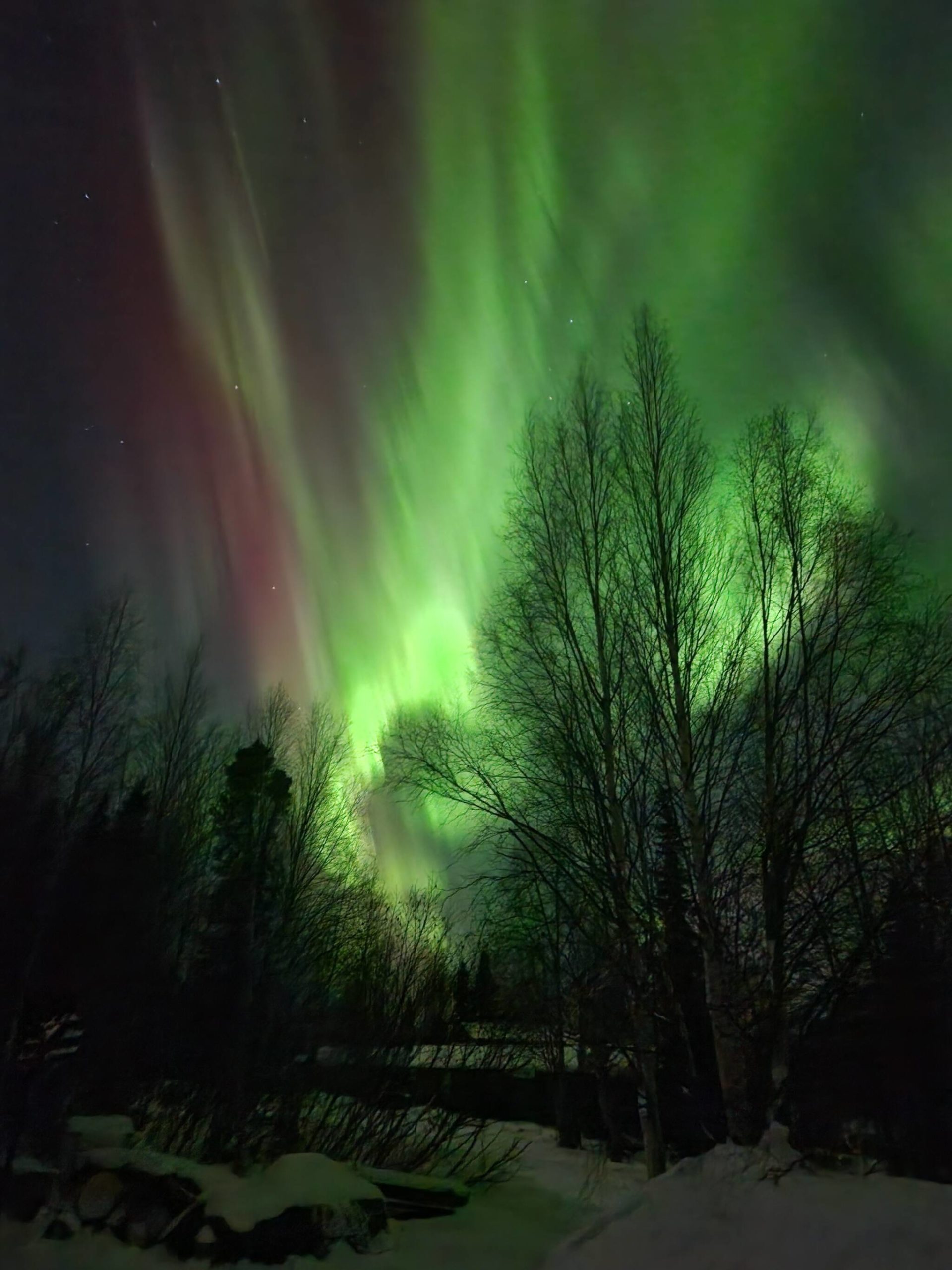 Aurora borealis shine over Cooper Landing on Sunday, Feb. 26, 2023 in Cooper Landing, Alaska. (Photo courtesy Virginia Morgan)