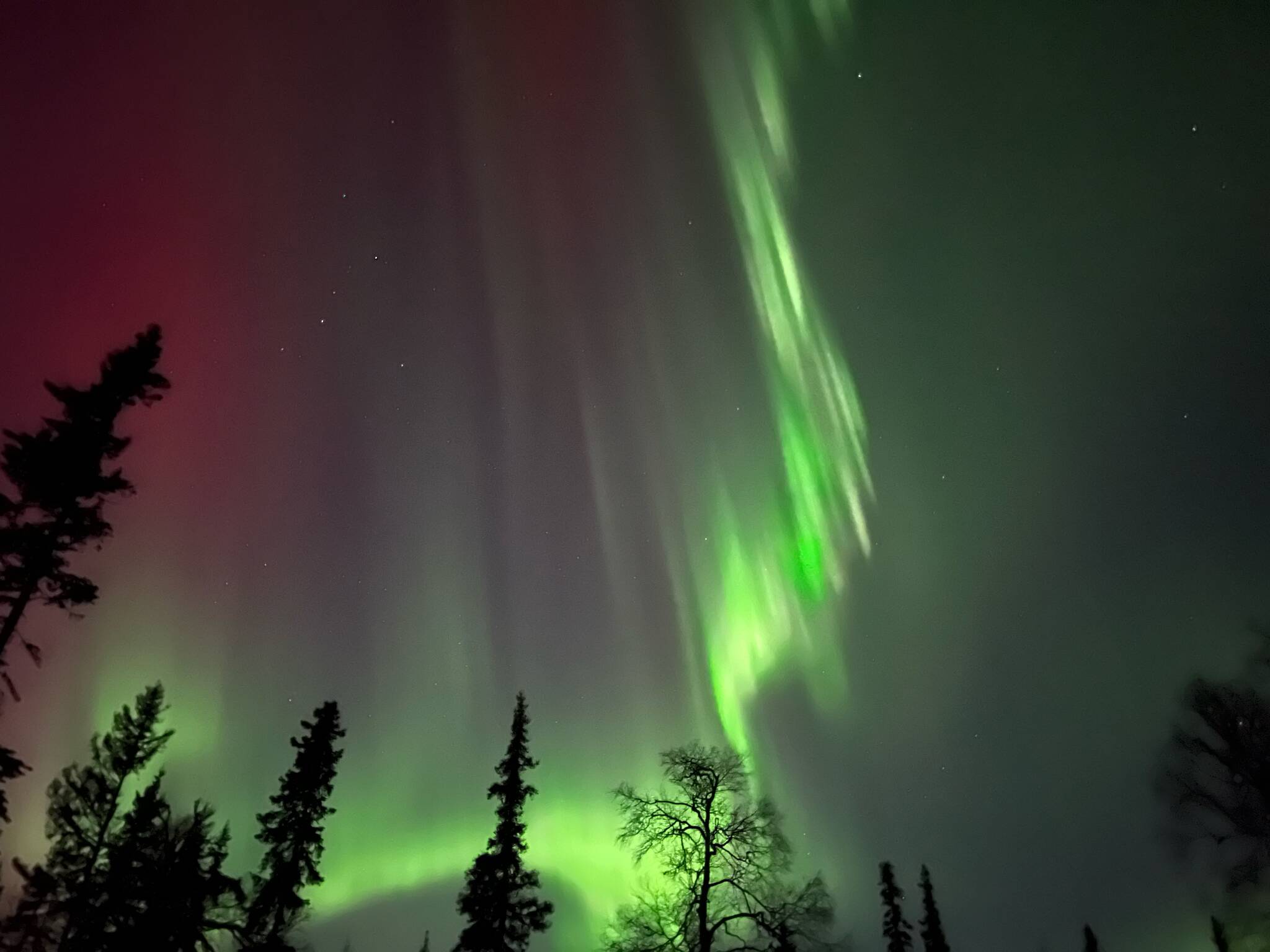 The aurora borealis as seen on Sunday, Feb. 26, 2023 in Nikiski, Alaska. (Photo courtesy Rachel Olson)