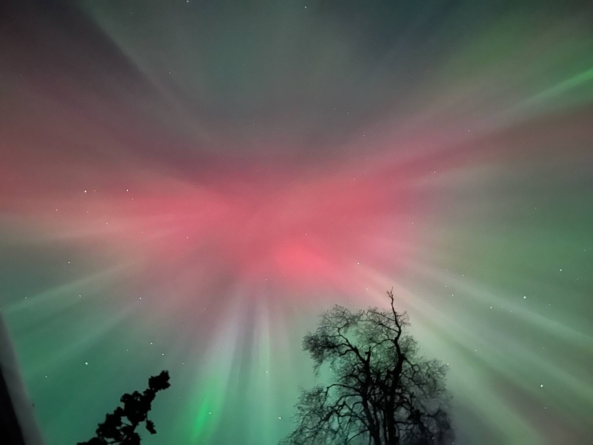 The aurora borealis as seen on Sunday, Feb. 26, 2023, in Nikiski, Alaska. (Photo courtesy Rachel Olson)