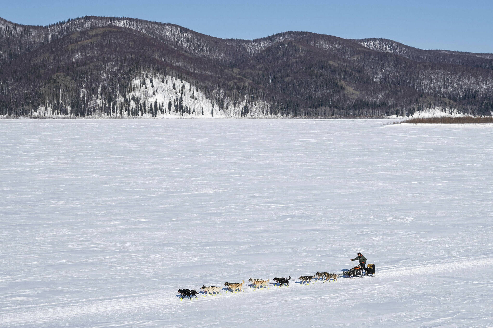 Brent Sass heads down the Yukon River between Ruby and Galena, Alaska, on March 13, 2020, during the Iditarod Trail Sled Dog Race. Only 33 mushers will participate in the ceremonial start of the Iditarod on Saturday, March 4, the smallest field ever. (Loren Holmes/Anchorage Daily News via AP, File)