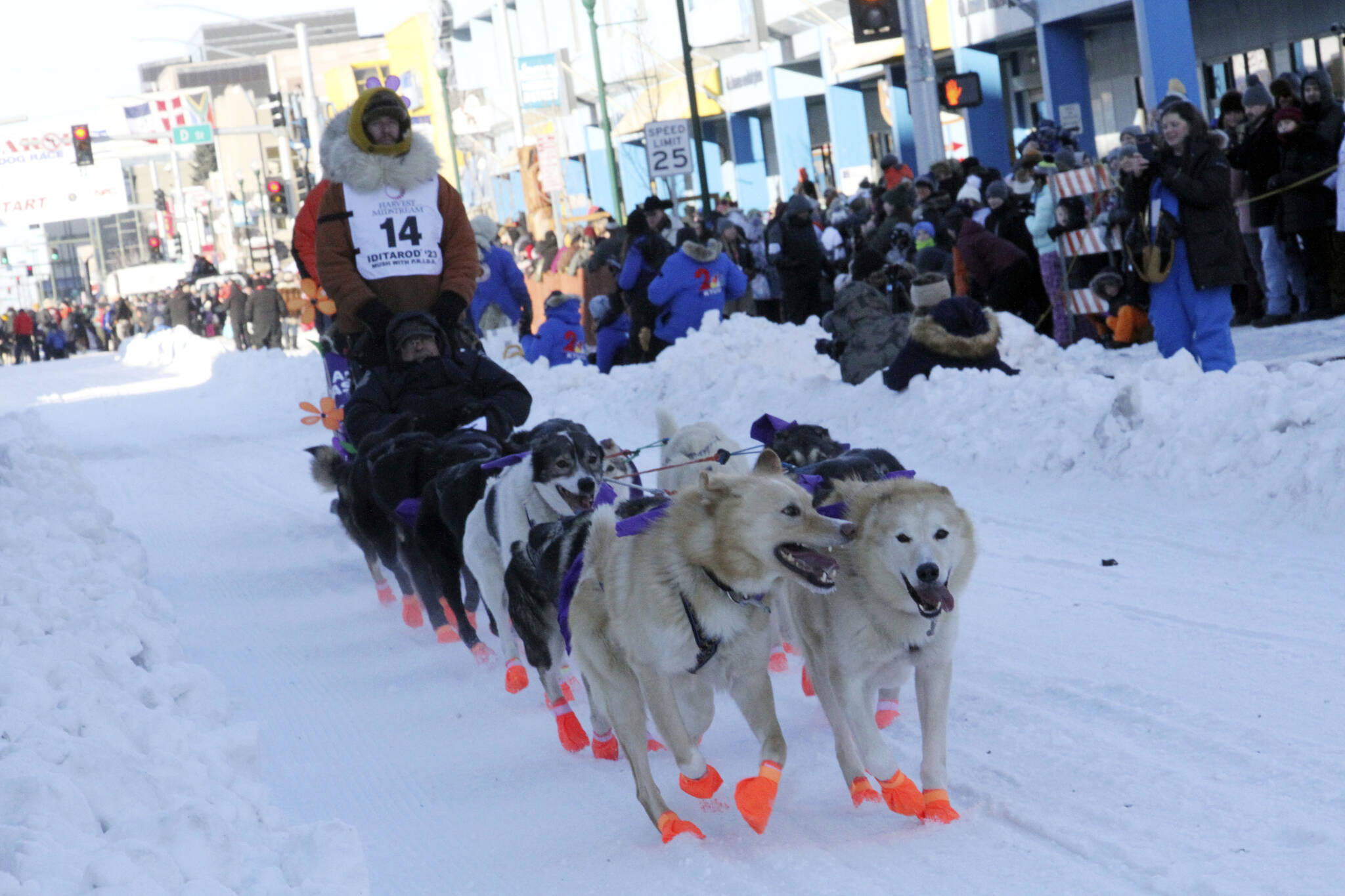 Defending champion Brent Sass mushes his dog team down Fourth Avenue during the Iditarod Trail Sled Dog Race’s ceremonial start in downtown Anchorage, Alaska, on Saturday, March 4, 2023. (AP Photo/Mark Thiessen)