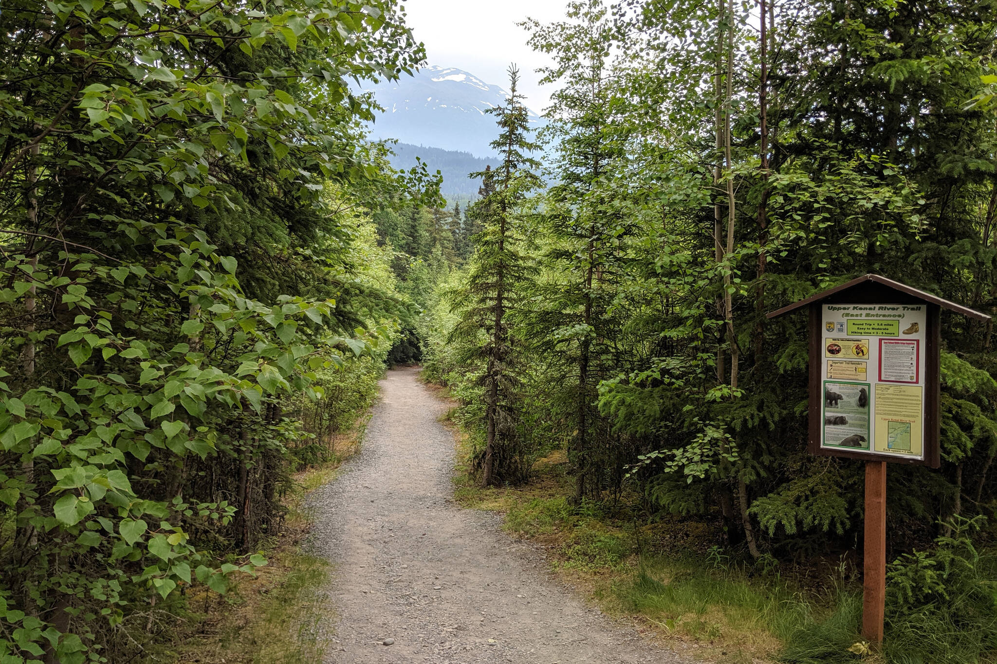 The east entrance of the Upper Kenai River Trail is photographed on Sunday, June 23, 2019, in the Kenai National Wildlife Refuge, Alaska. (Photo by Erin Thompson/Peninsula Clarion)