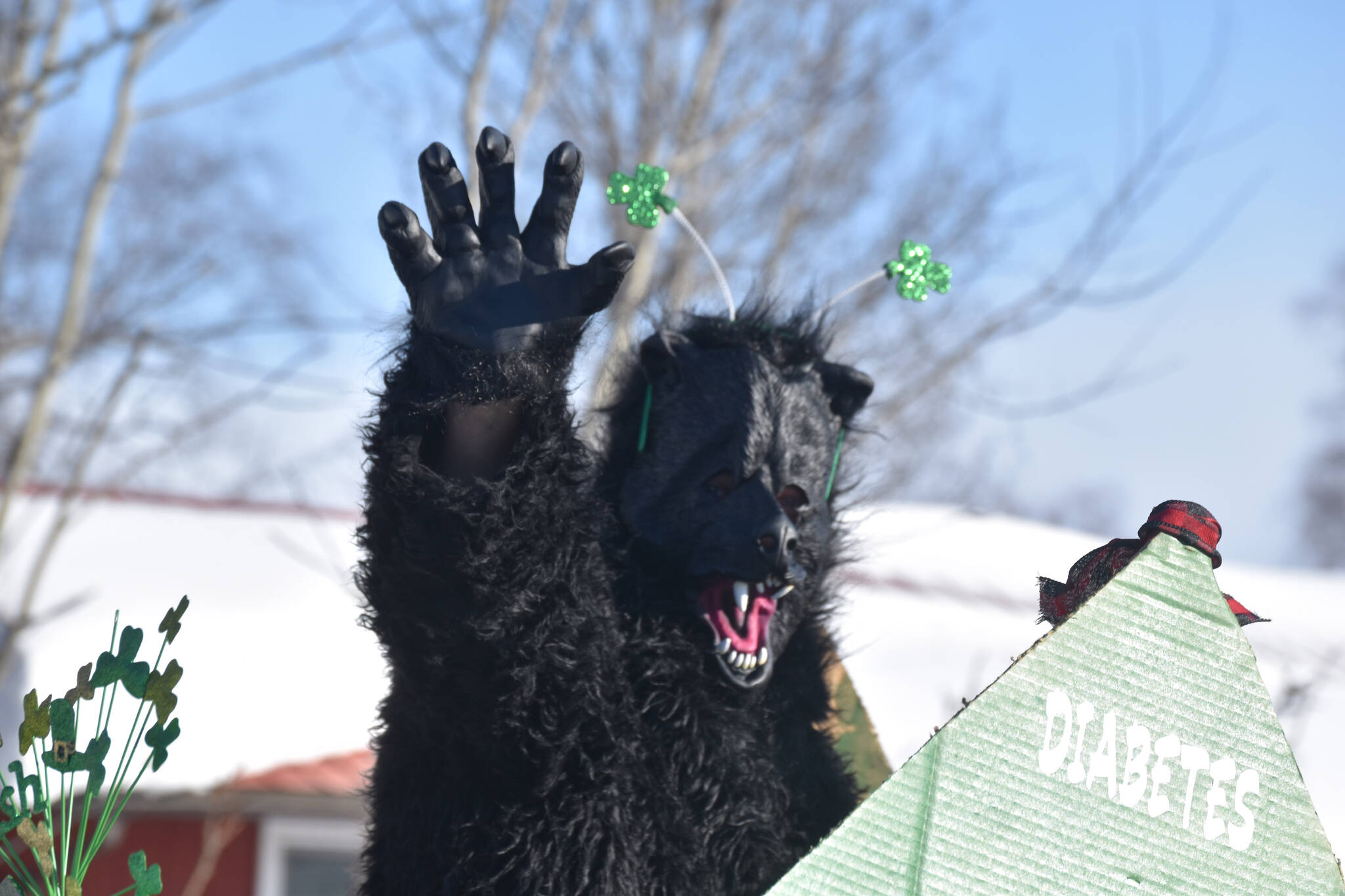 A bear waves from the back of a truck as the 32nd annual Sweeney’s St. Patrick’s Day Parade proceeds down Fireweed Street in Soldotna, Alaska on Friday, March 17, 2023. (Jake Dye/Peninsula Clarion)