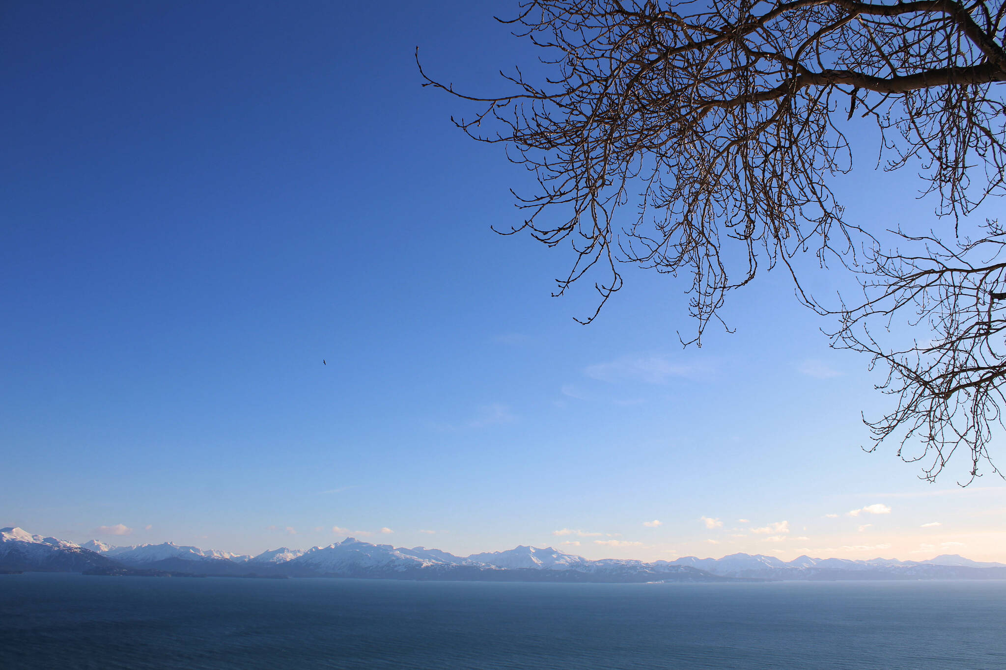 The sun shines over Kachemak Bay on Saturday, Feb. 25, 2023, in Homer, Alaska. (Ashlyn O’Hara/Peninsula Clarion)