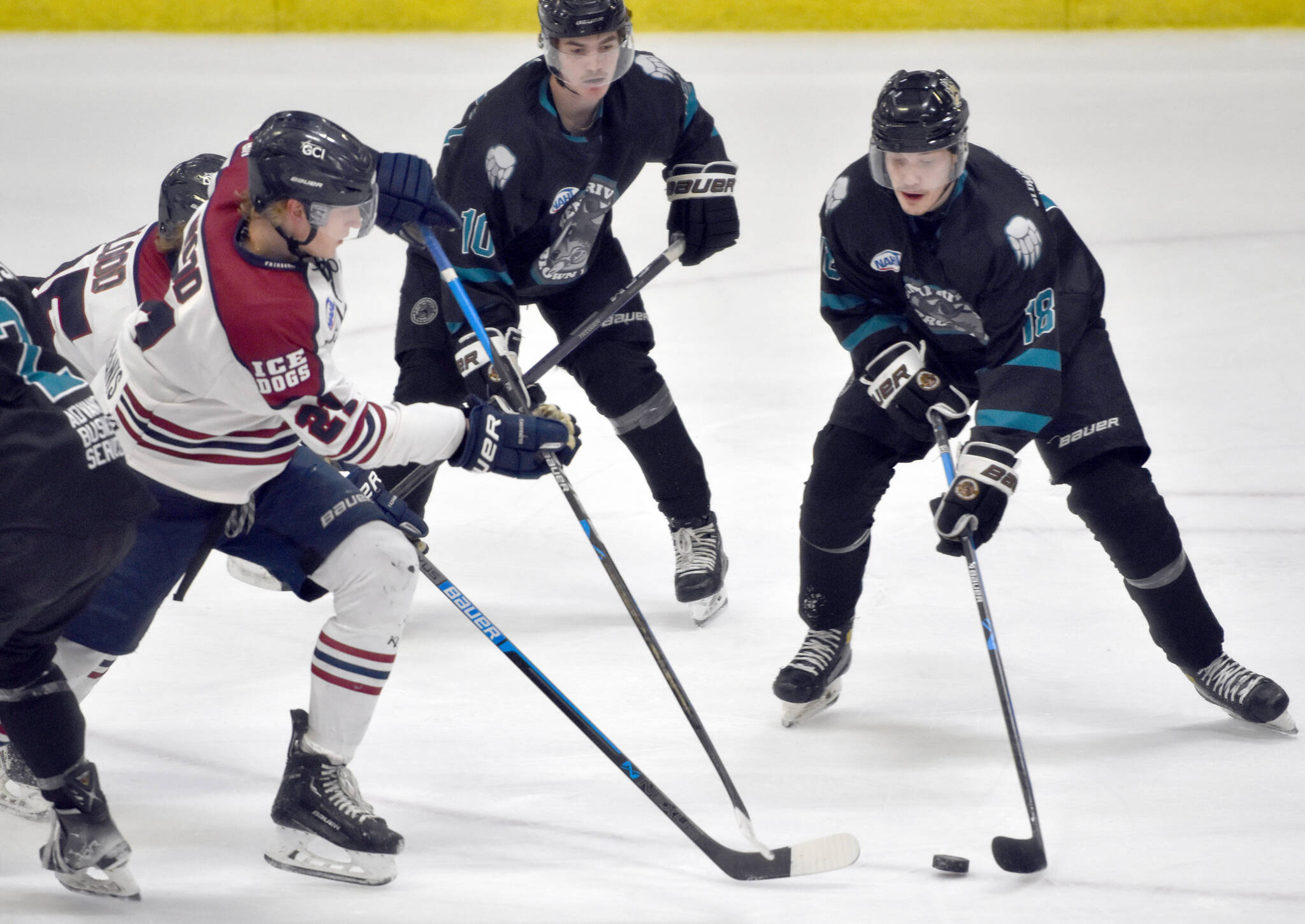 Fairbanks Ice Dogs forward Noah Wood and Kenai River Brown Bears forward Casper Conradsson Kelvgaard battle for the puck Saturday, March 25, 2023, at the Soldotna Regional Sports Complex in Soldotna, Alaska. (Photo by Jeff Helminiak/Peninsula Clarion)