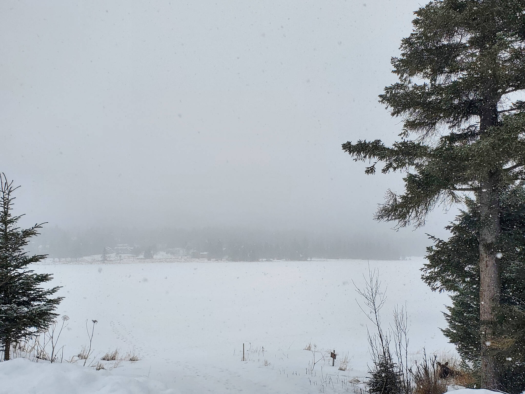 Snow falls on a fog-covered Beluga Lake on Thursday<ins>, March 30, 2023 in Homer, Alaska</ins>. (Photo by Delcenia Cosman/Homer News)