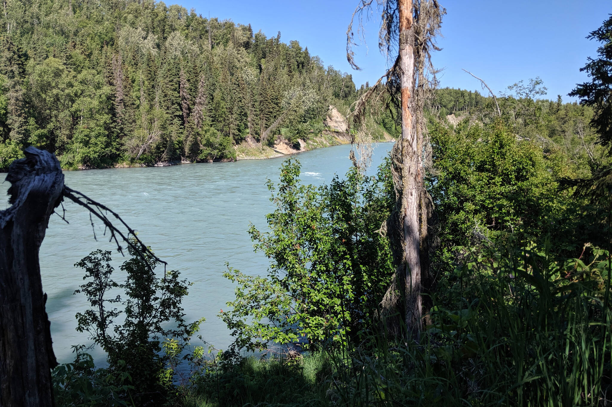 The Kasilof River is seen from the Kasilof River Recreation Area, July 30, 2019, in Kasilof, Alaska. A section of the Kasilof River estuary called “the Dinosaur Parcel,” sized at 309 acres, has been added to the Alaska State Parks system for conservation. (Photo by Erin Thompson/Peninsula Clarion)