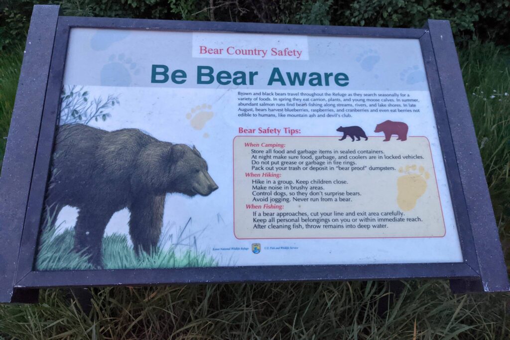 Voices of the Peninsula Got bears? Protect yourself and keep Kenai