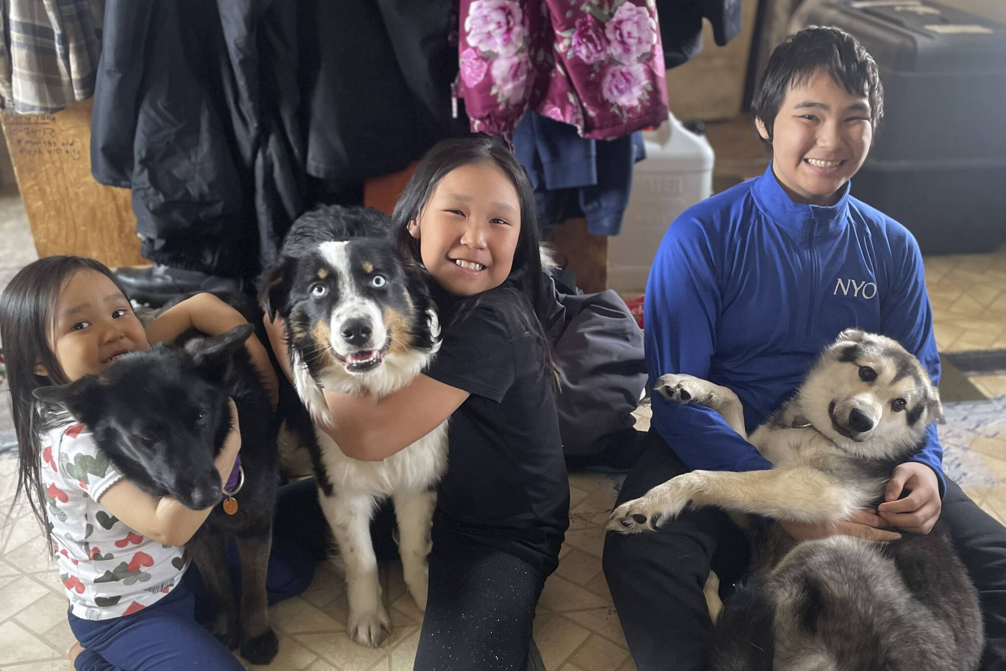 Mandy Iworrigan via AP
In this photo provided by Mandy Iworrigan is Nanuq, in the middle with Brooklyn Faith, after the 1-year-old Australian shepherd was returned to Gambell, on April 6.