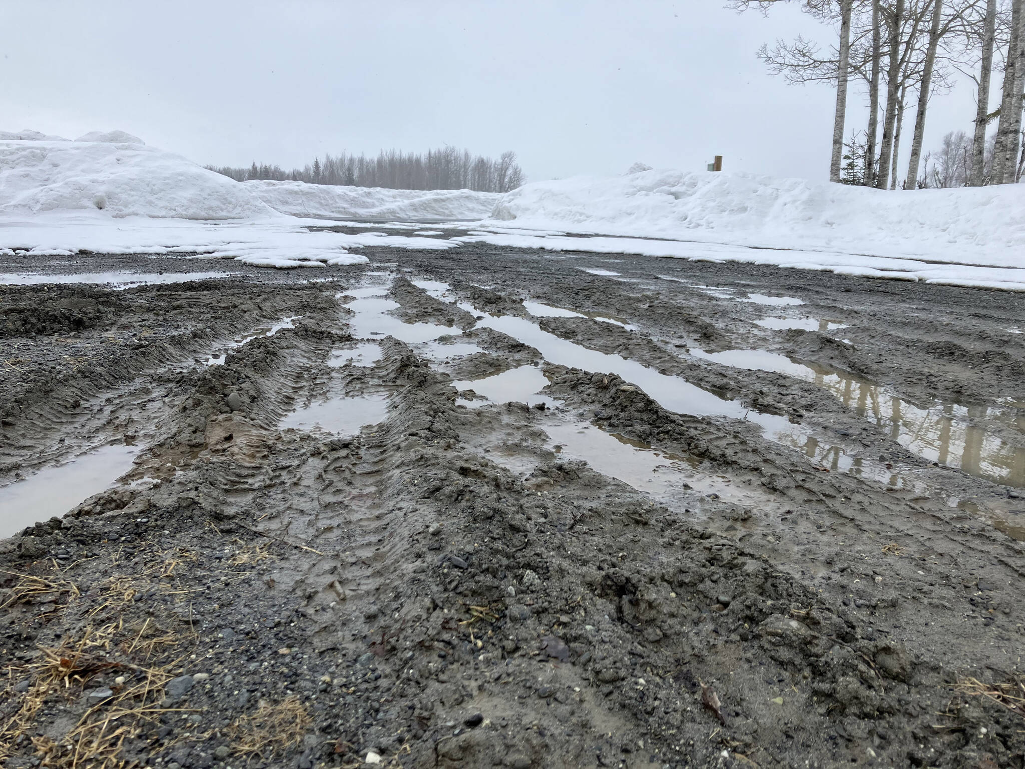 Snow falls on tire tracks and puddles of water in the mud outside the home of Jake Dye in Soldotna, Alaska, on Thursday, April 13, 2023. (Photo courtesy Sarah McMinn)
