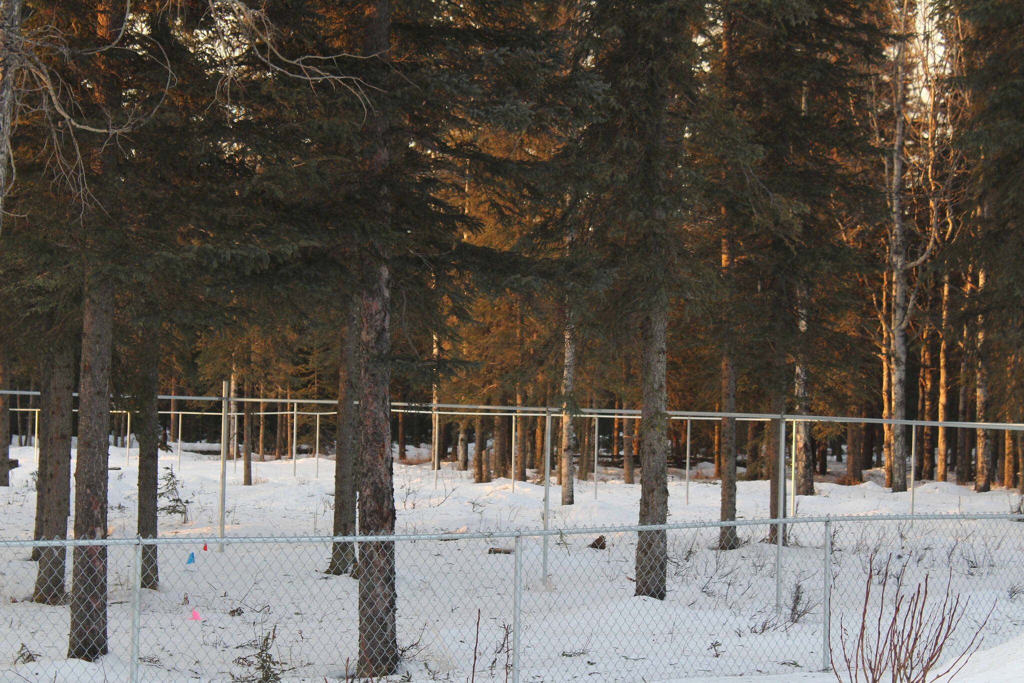 Fencing marks the boundaries of a planned dog park in Kenai near Daubenspeck Park on Monday, Dec. 27, 2021, in Kenai, Alaska. (Ashlyn O’Hara/Peninsula Clarion)