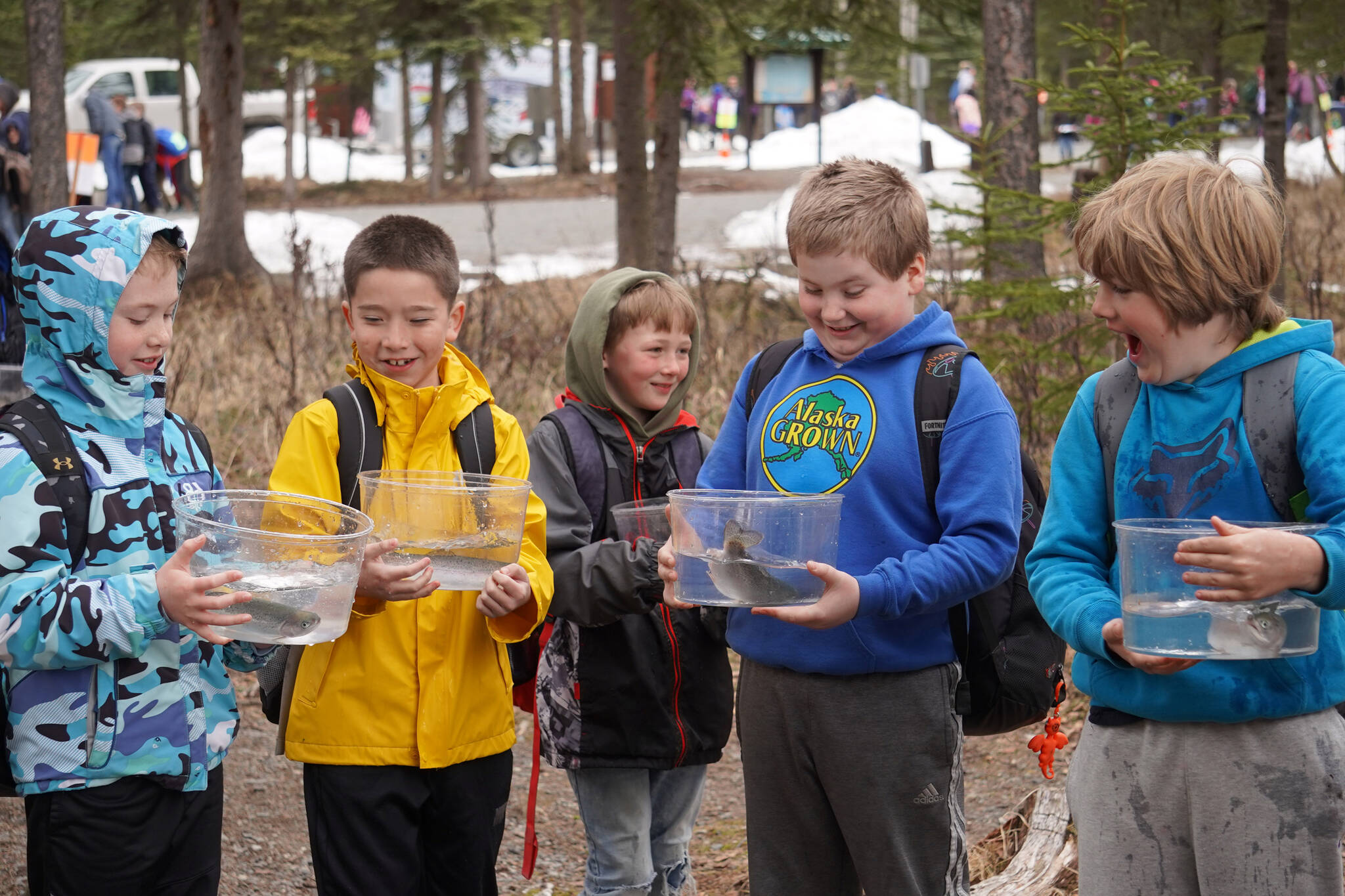 Elementary students prepare to stock rainbow trout in Johnson Lake during Salmon Celebration on Wednesday, May 10, 2023, at Johnson Lake in Kasilof, Alaska. (Jake Dye/Peninsula Clarion)