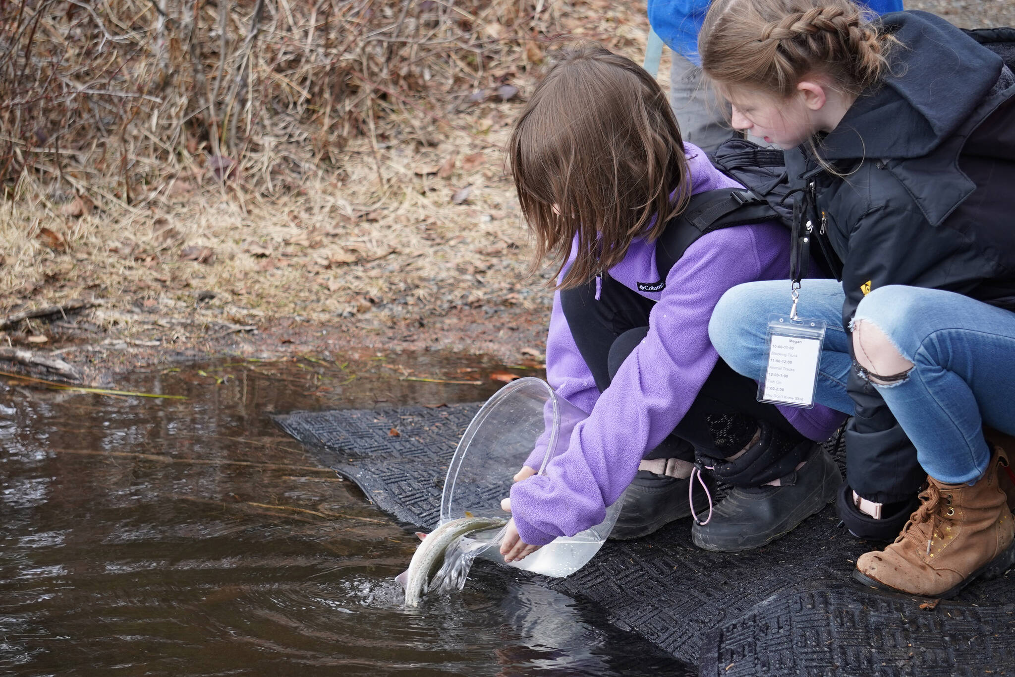 An elementary student stocks rainbow trout in Johnson Lake during Salmon Celebration on Wednesday, May 10, 2023, at Johnson Lake in Kasilof, Alaska. (Jake Dye/Peninsula Clarion)